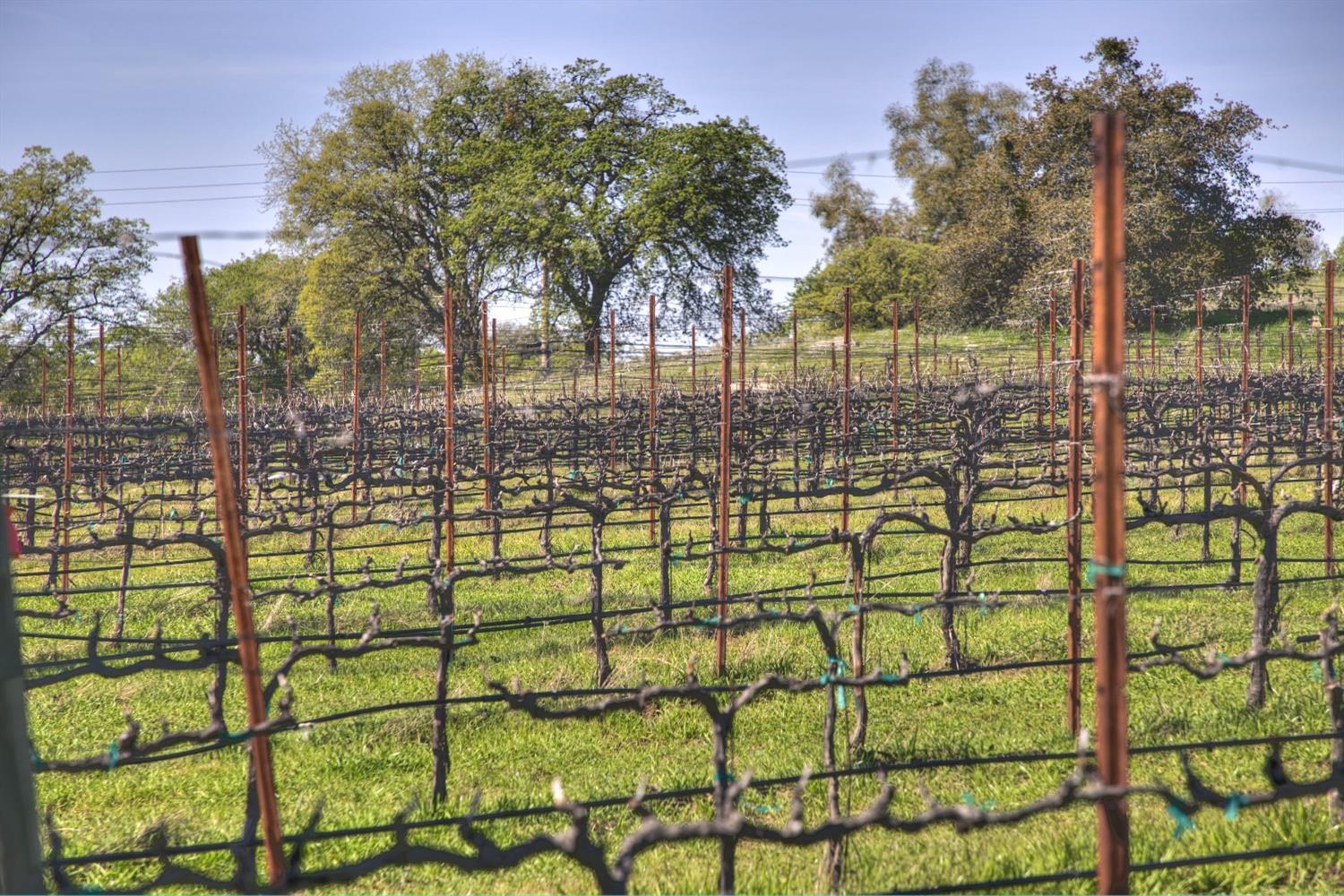 Auburn, California, 95603, United States, 3 Bedrooms Bedrooms, ,3 BathroomsBathrooms,Residential,For Sale,1976259