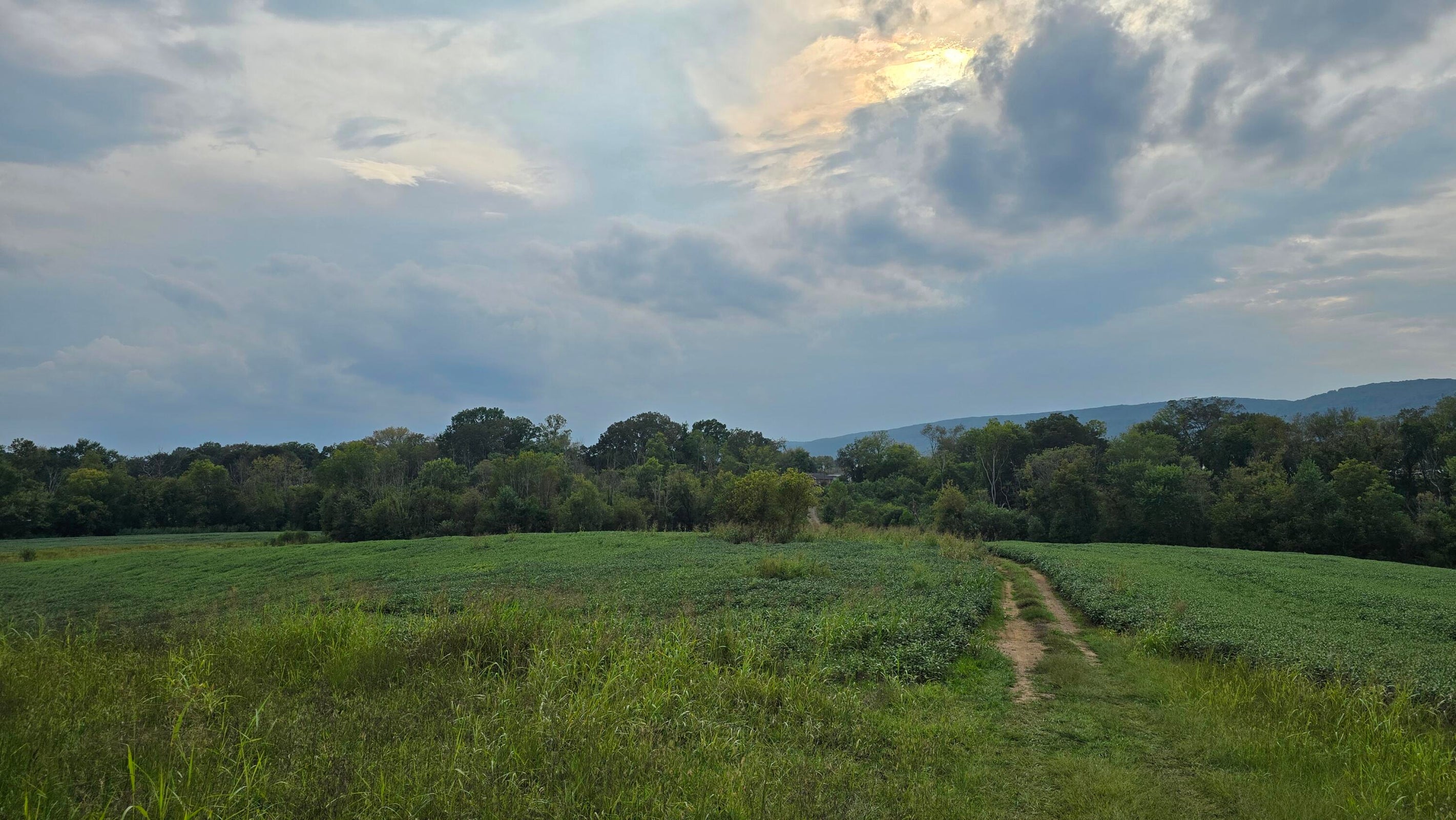 Pikeville, Tennessee, 37367, United States, ,Land,For Sale,1978902