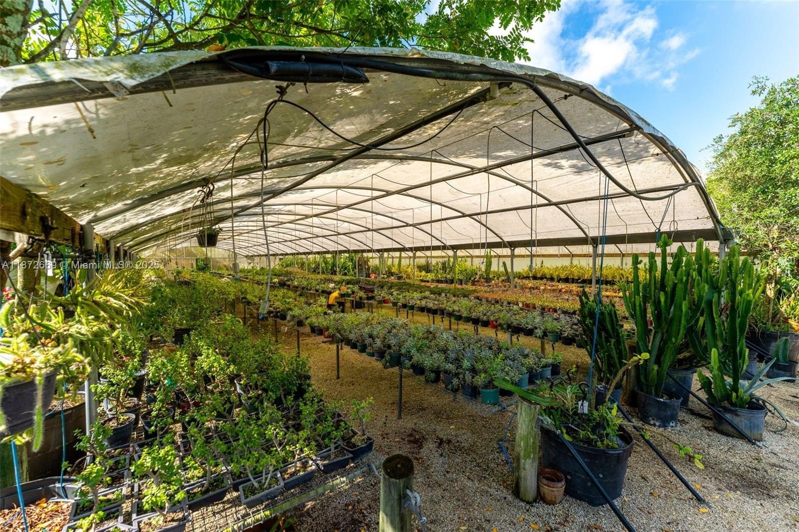 Miami, Florida, 33187, United States, ,Land,For Sale,1977512