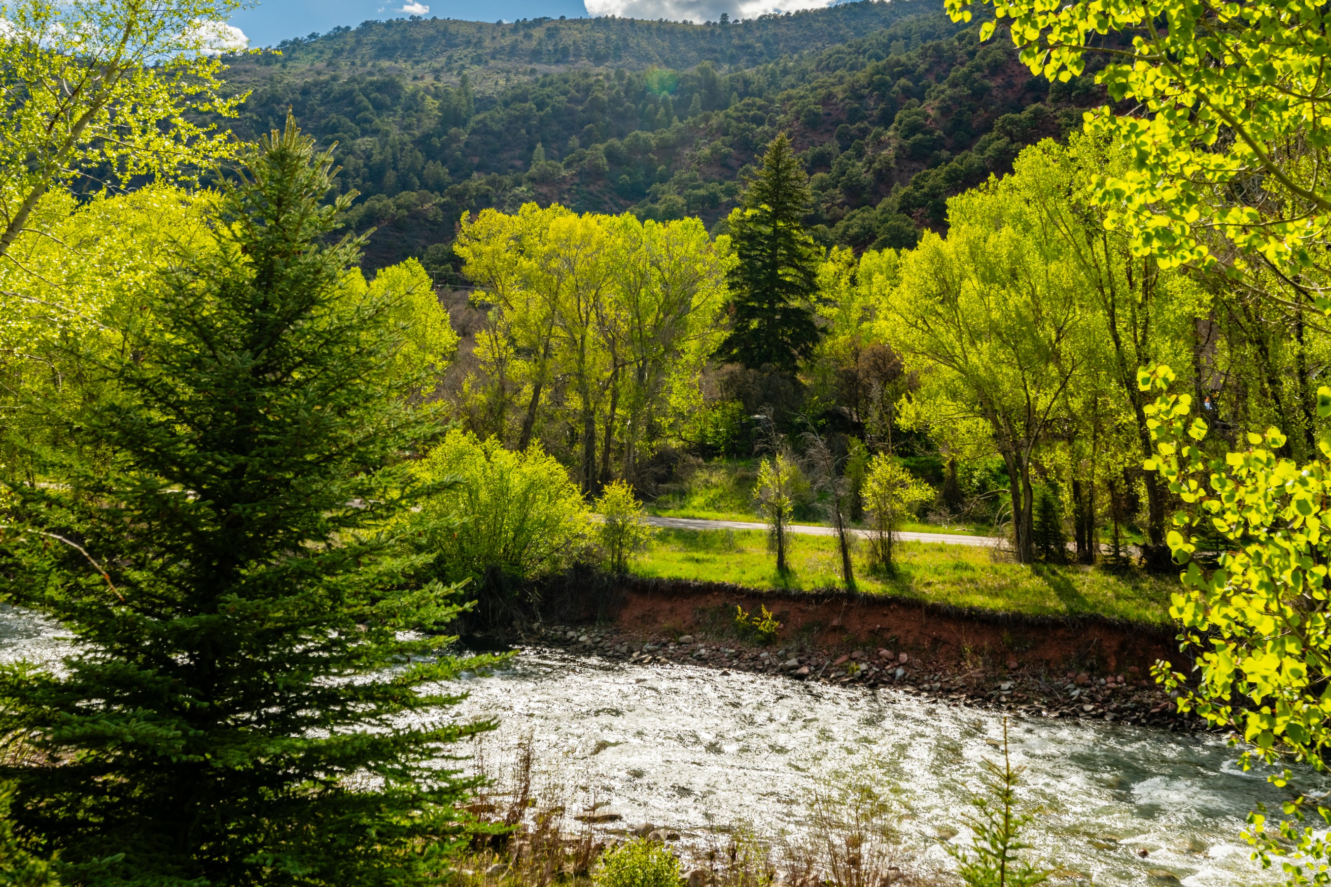  357 Crystal Lane, Carbondale, CO, 81623 - 物件實景