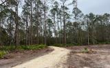 2418 NE OMAR TER, Lake City, Florida, 32055, United States, ,Land,For Sale,2418 NE OMAR TER,1680072