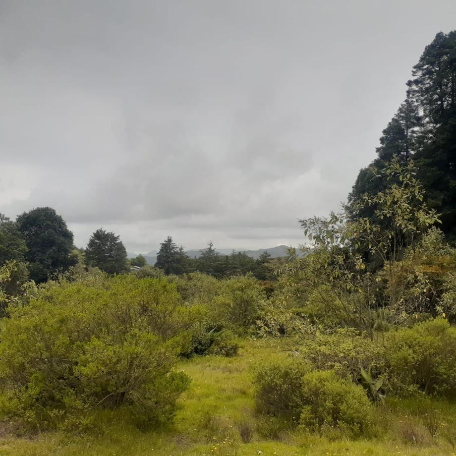 Mineral del Chico, Hidalgo, 42120, Mexico, 1 Bedroom Bedrooms, ,Residential,For Sale,1958011