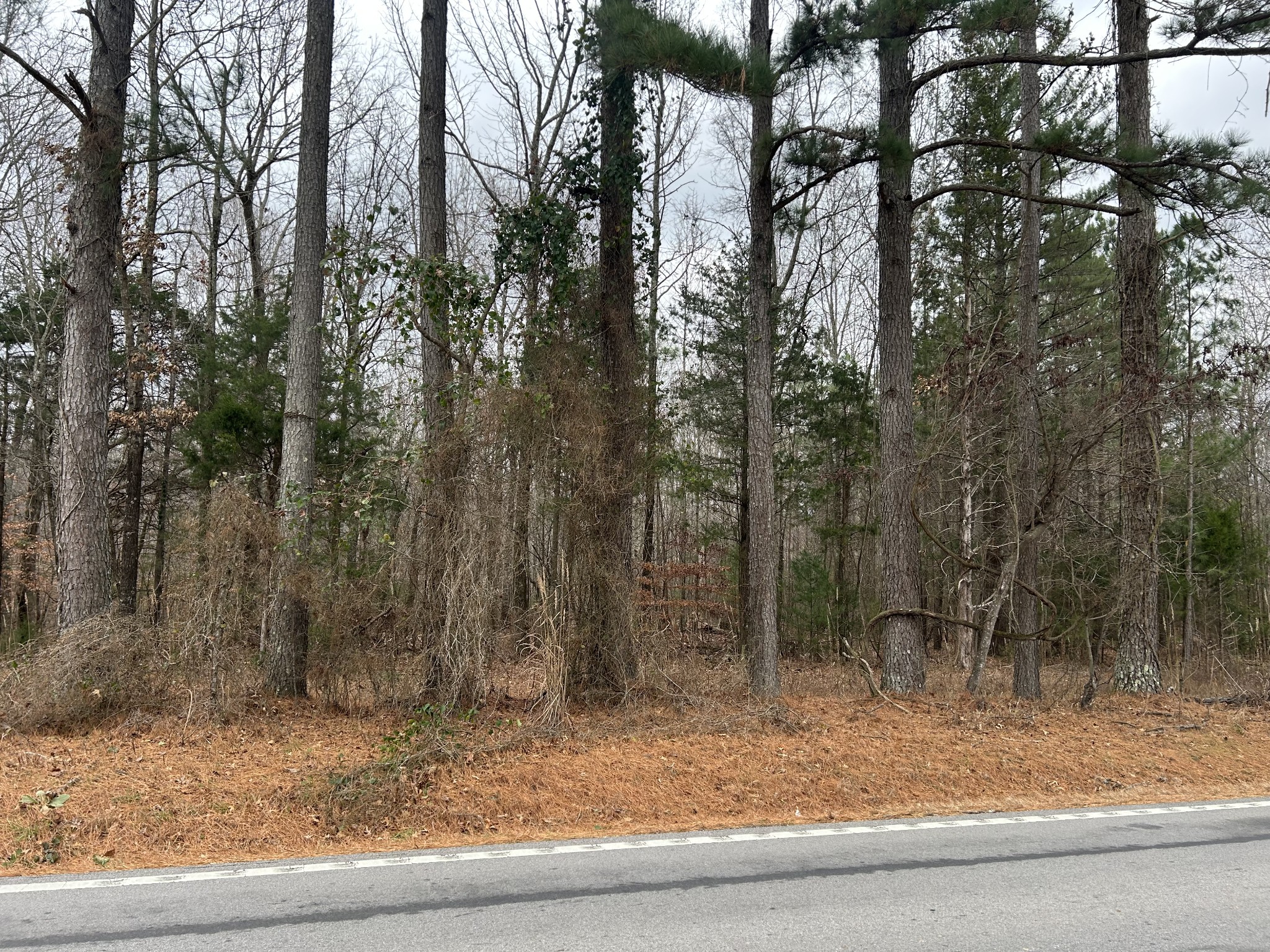 Manchester, Tennessee, 37355, United States, ,Land,For Sale,2006379