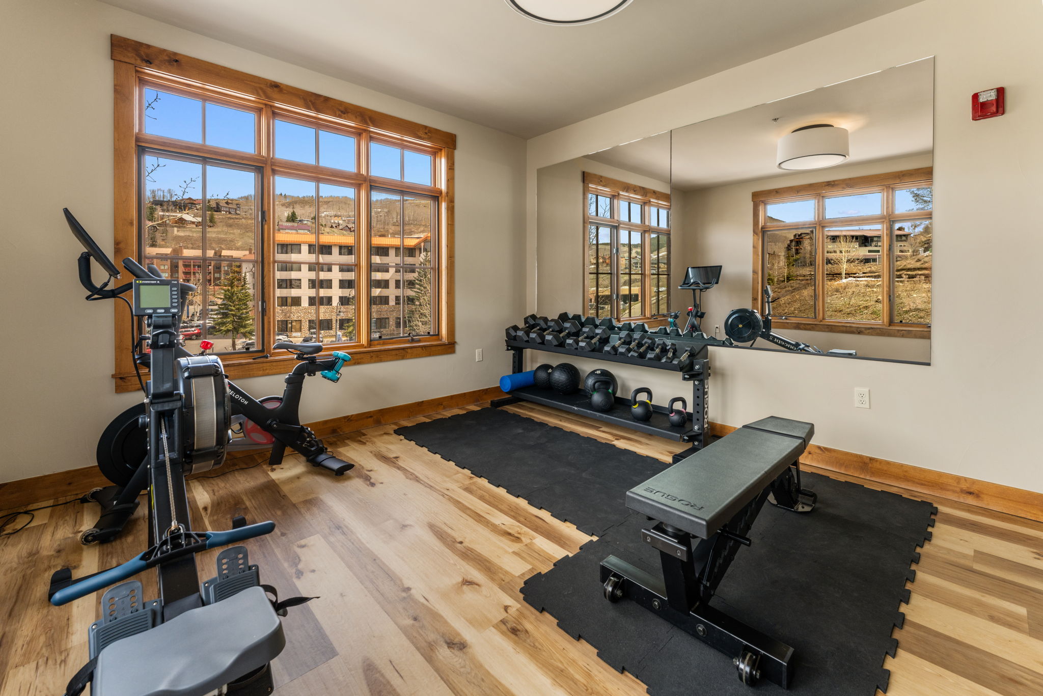  621 Gothic Road, Unit 2A, Mt. Crested Butte, CO 81225 - 物件實景