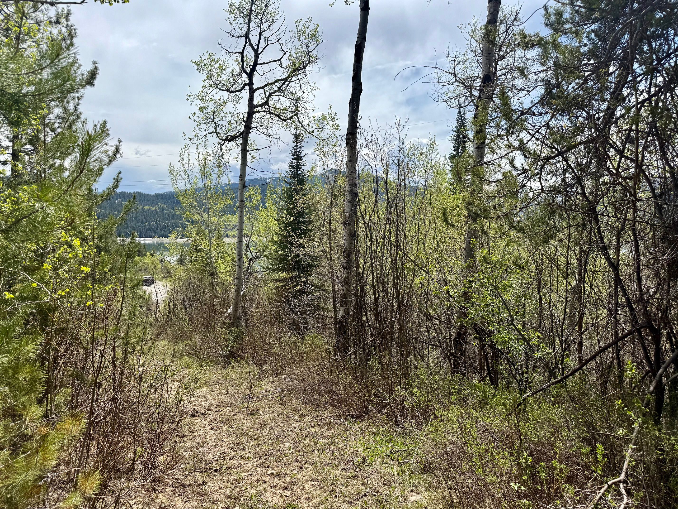  Property Overlooking the Palisades Reservoir - 物件實景
