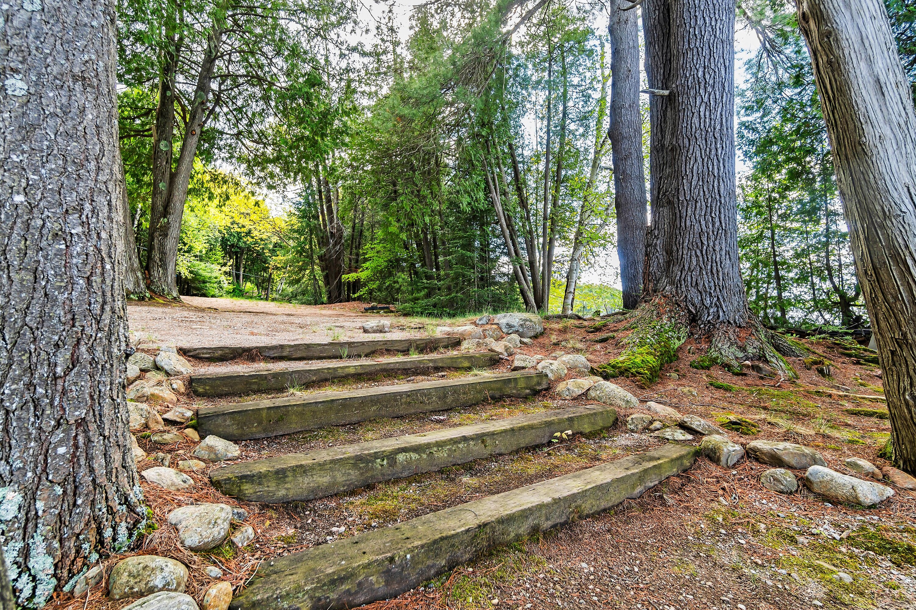  Coveted Area of Lake of Bays - 物件實景