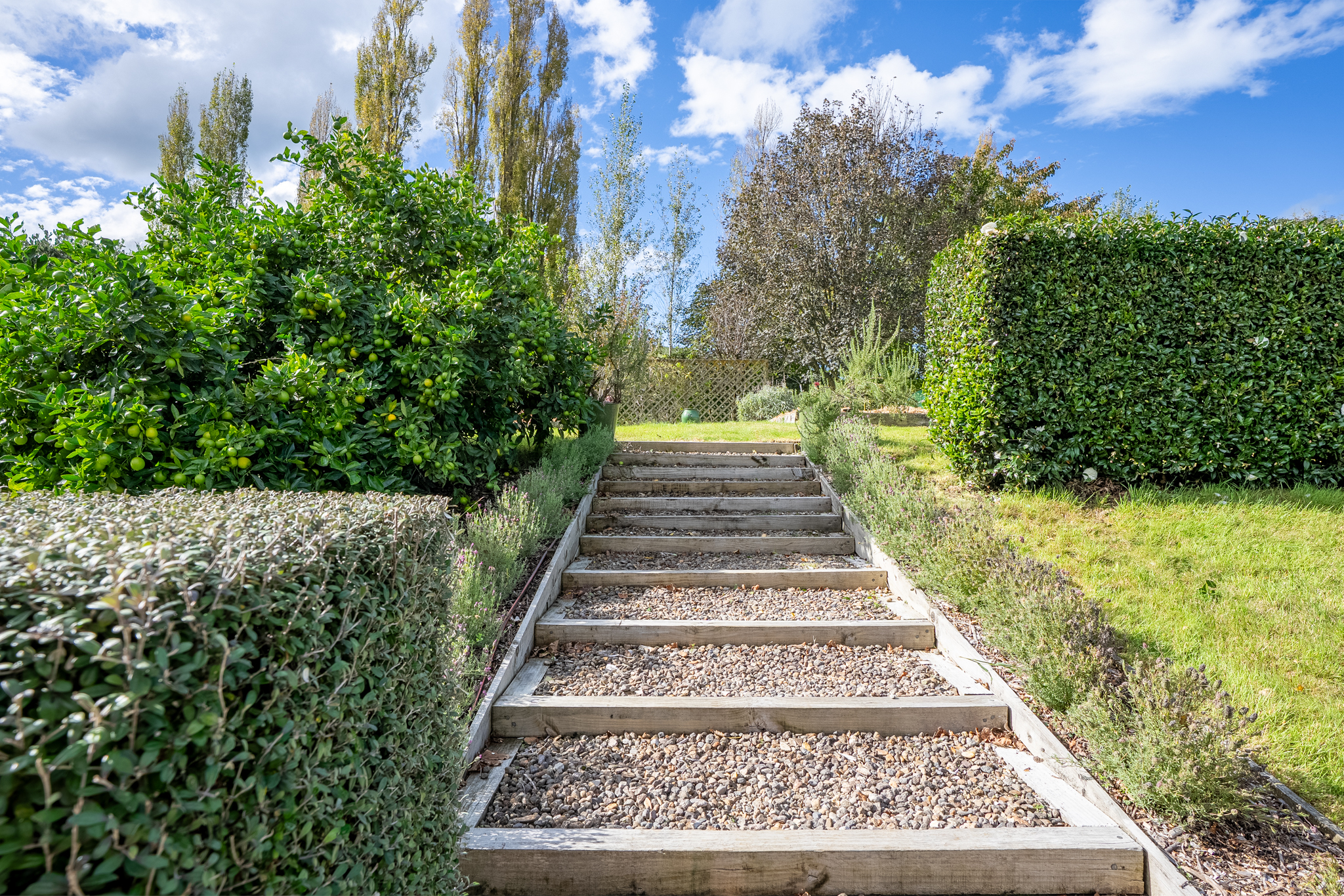  What Dreams are Made of and Memories are Made - 物件實景