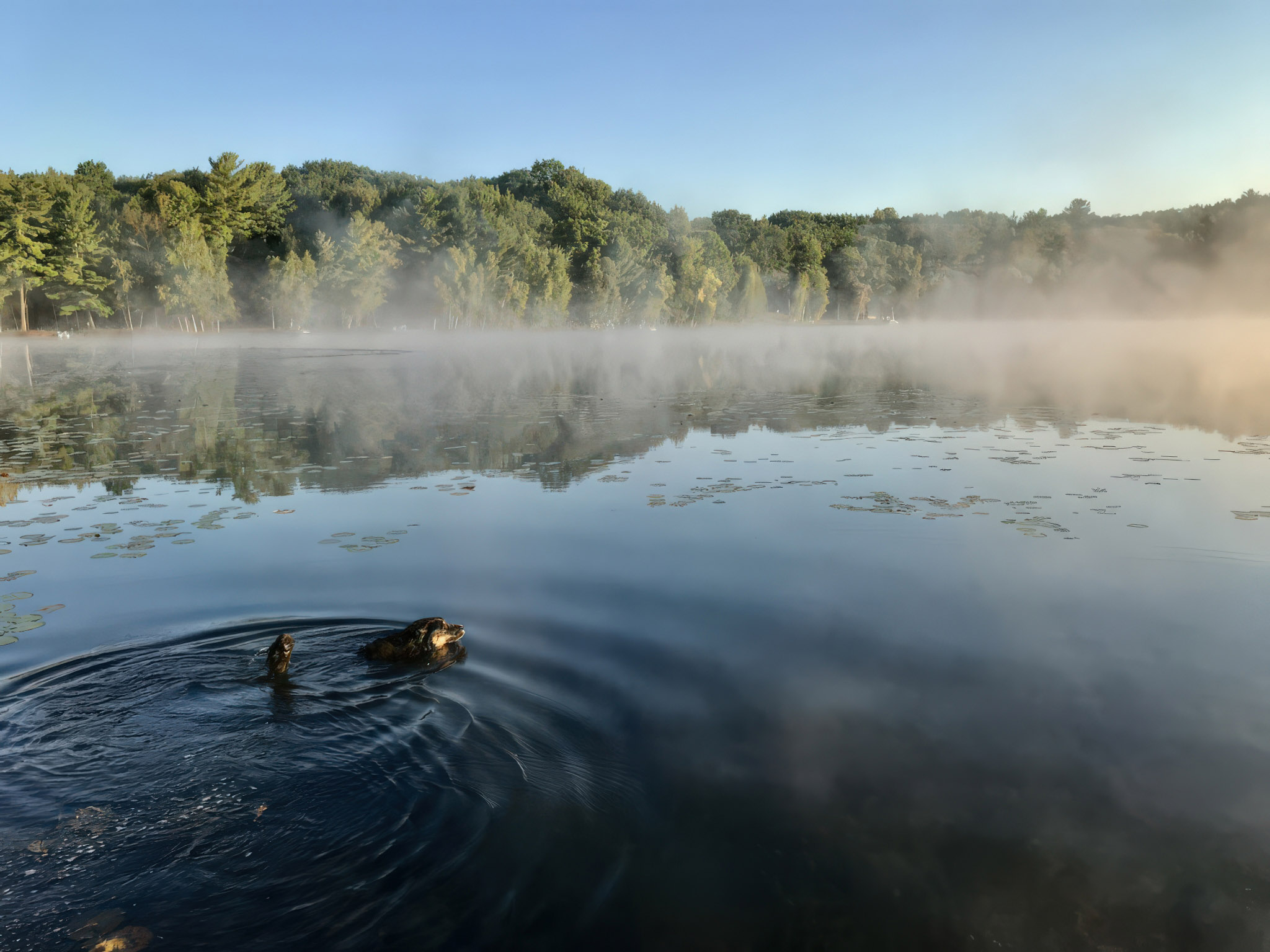 Branch, Michigan, 49402, United States, 1 Bedroom Bedrooms, ,1 BathroomBathrooms,Residential,For Sale,2001233