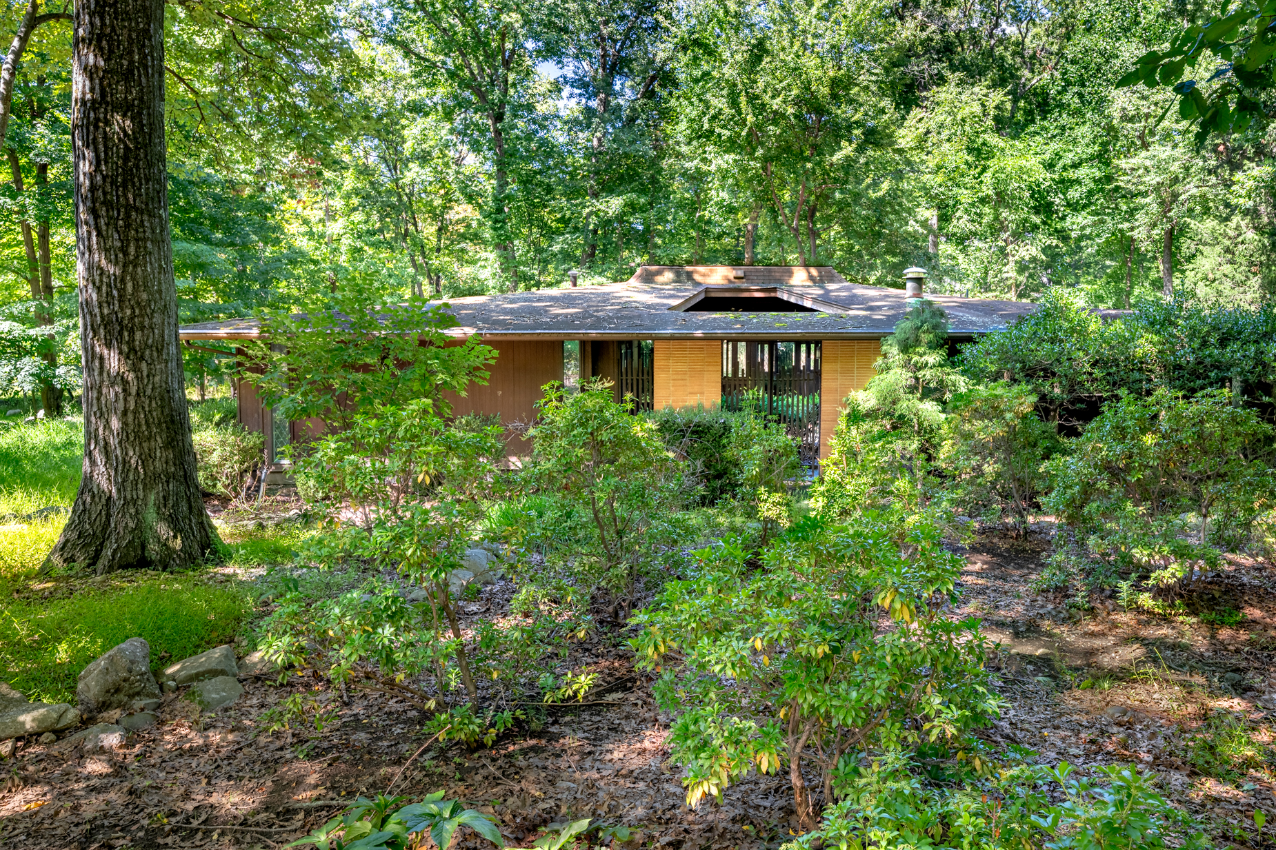  Pomona Mid-Century Modern - 物件實景