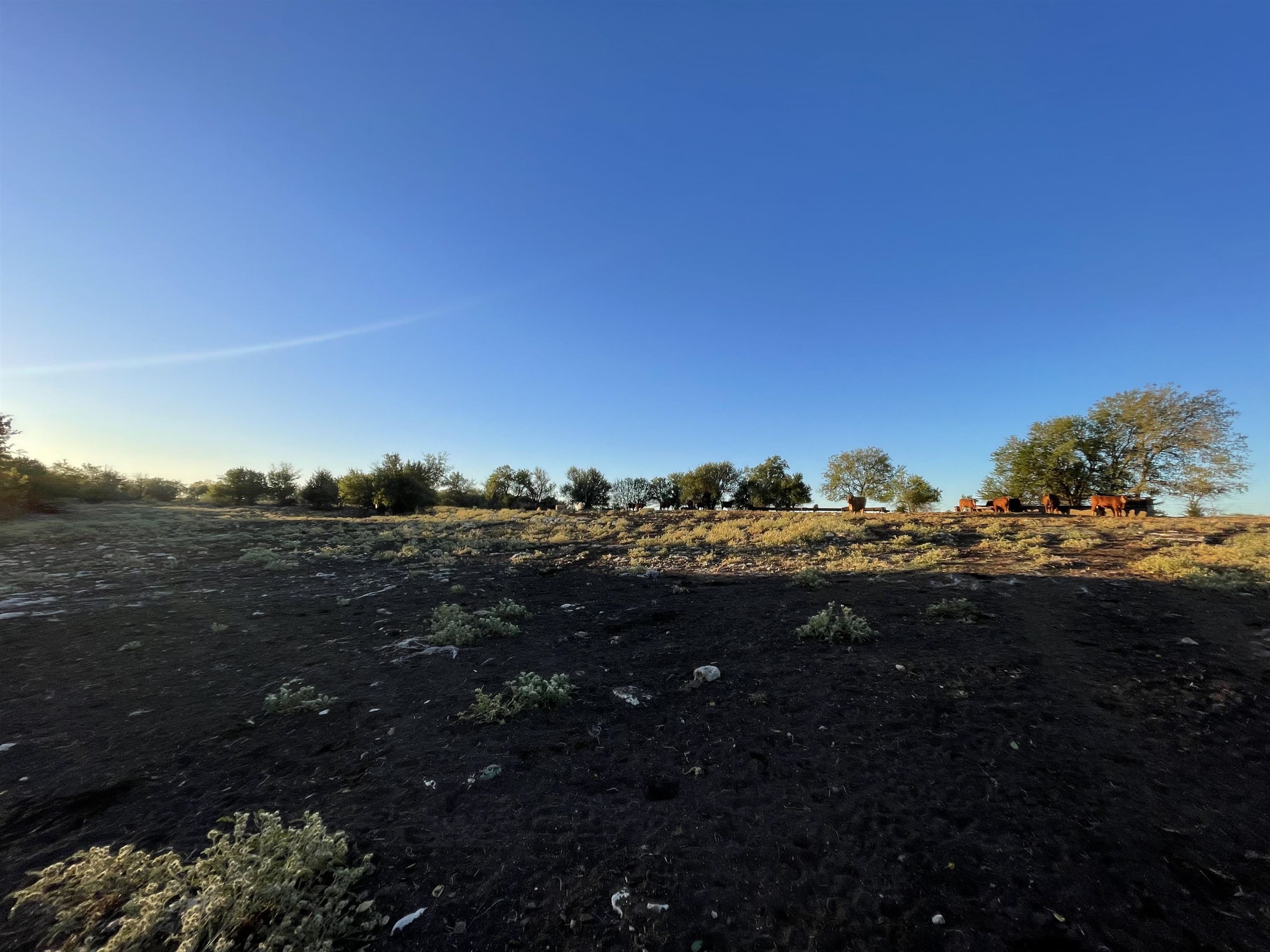 00000 SW Hwy 77, El Dorado, Kansas, 67042, United States, ,Residential,For Sale,00000 SW Hwy 77,1419987