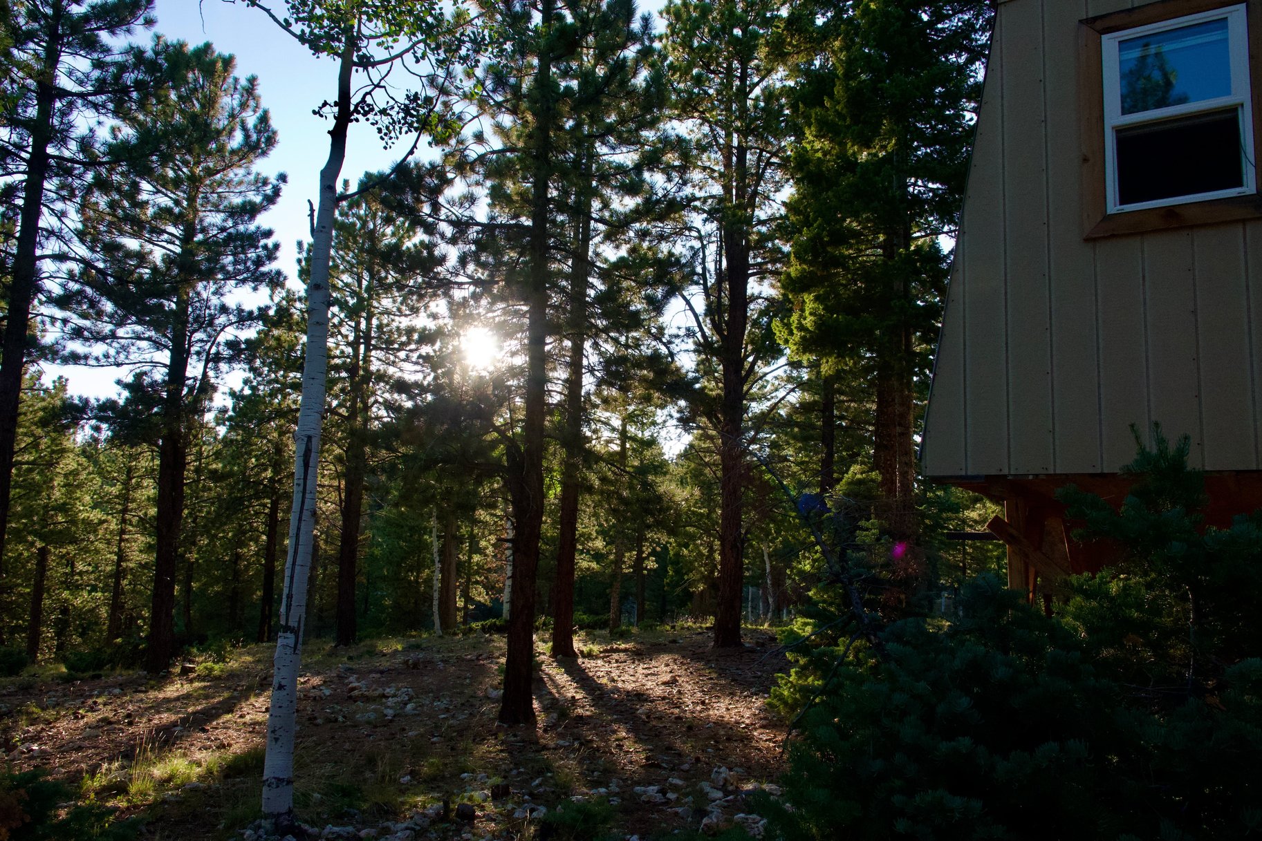  Charming A-Frame Retreat Backing National Forest With Panoramic Views - 物件實景