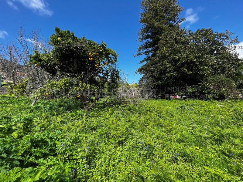 Pontevedra, Moa?a, Moa?a (San Marti?o P. E Virxe d, Moaña, Galicia, ES, 7 Bedrooms Bedrooms, ,2 BathroomsBathrooms,Residential,For Sale,Pontevedra, Moa?a, Moa?a (San Marti?o P. E Virxe d,1623275