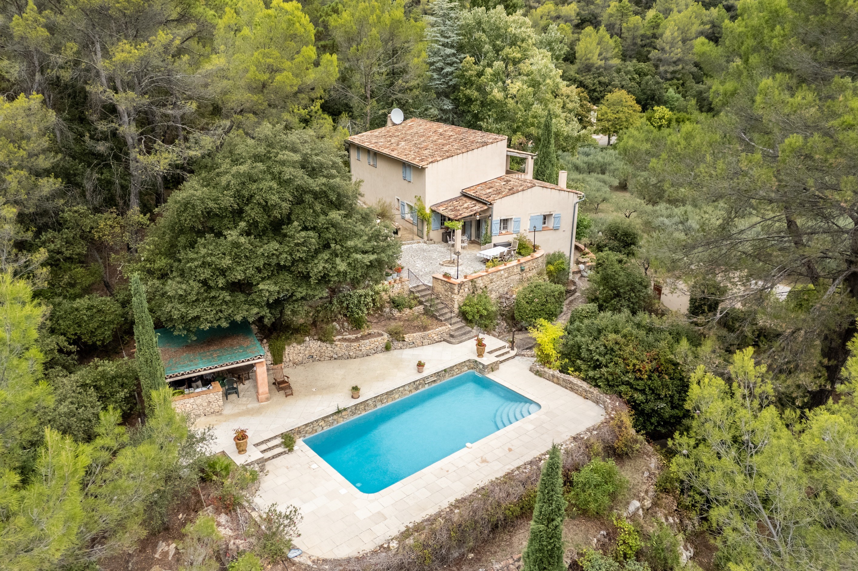  Prestigious Estate with Olive Grove - 物件實景