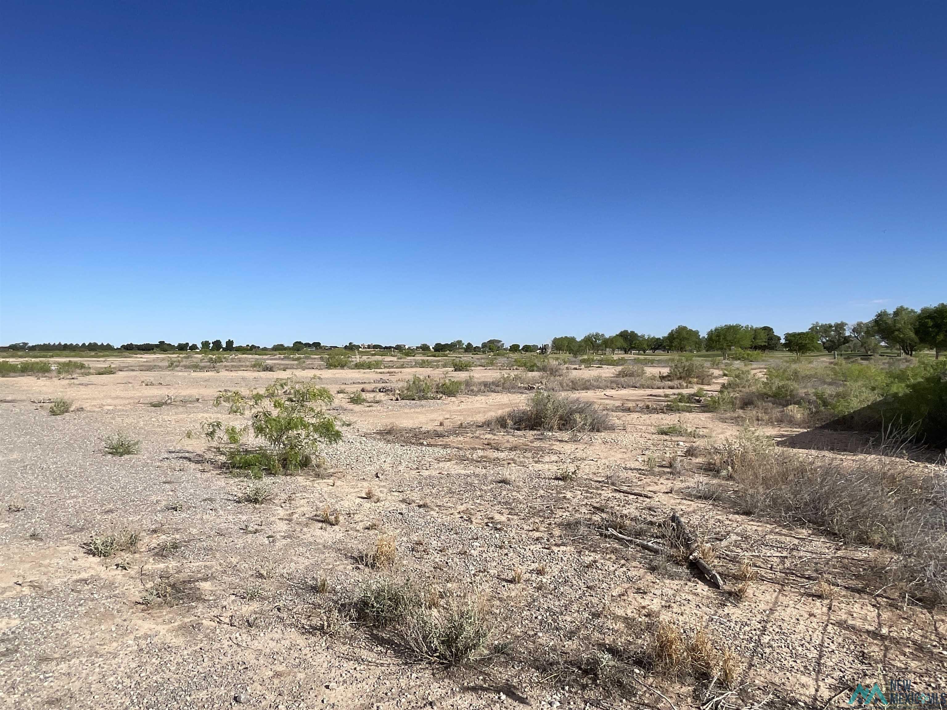 Artesia, New Mexico, 88210, United States, ,Land,For Sale,1978957