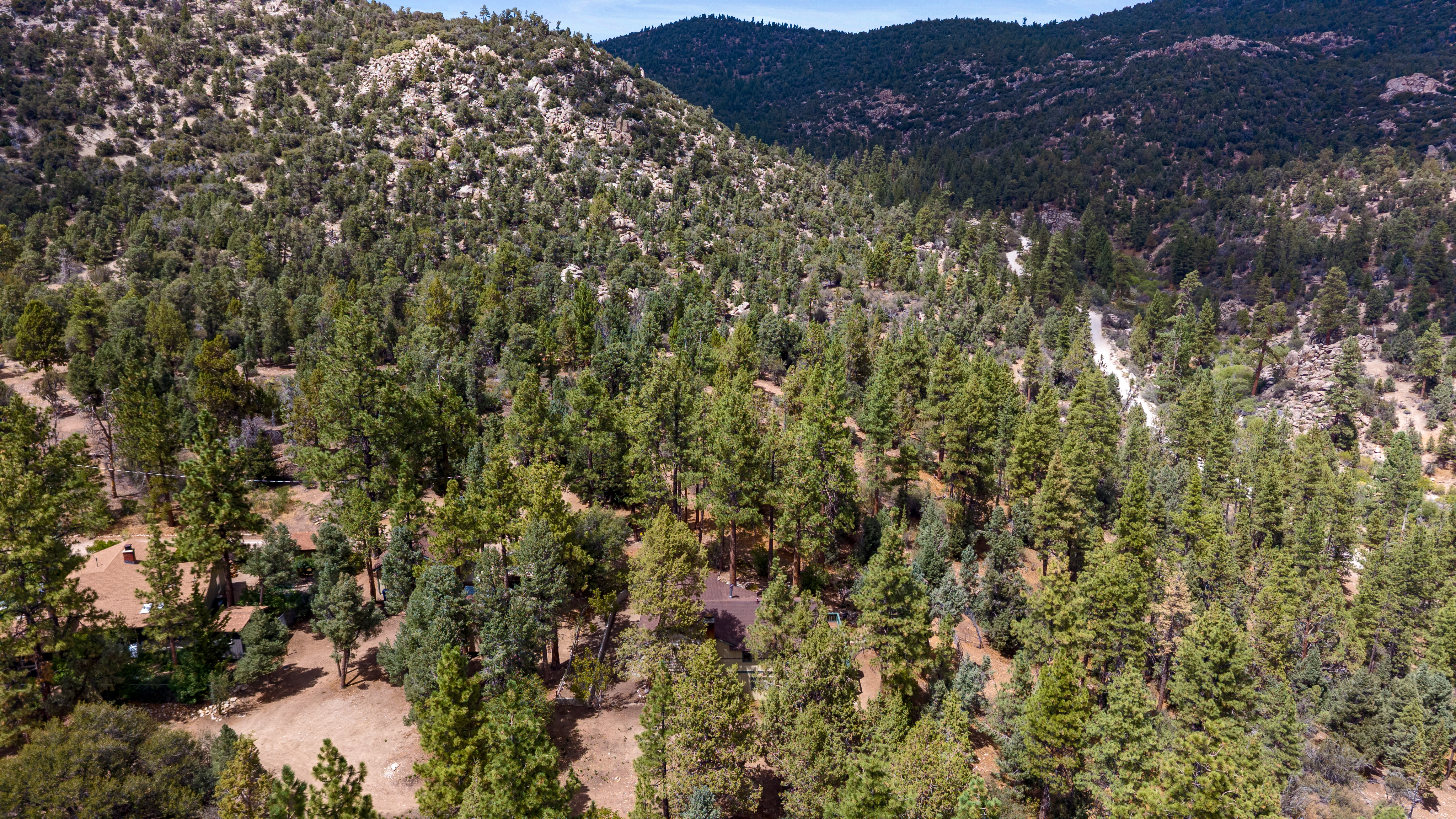  1172 Mound Street, Big Bear City, CA 92314 - 物件實景