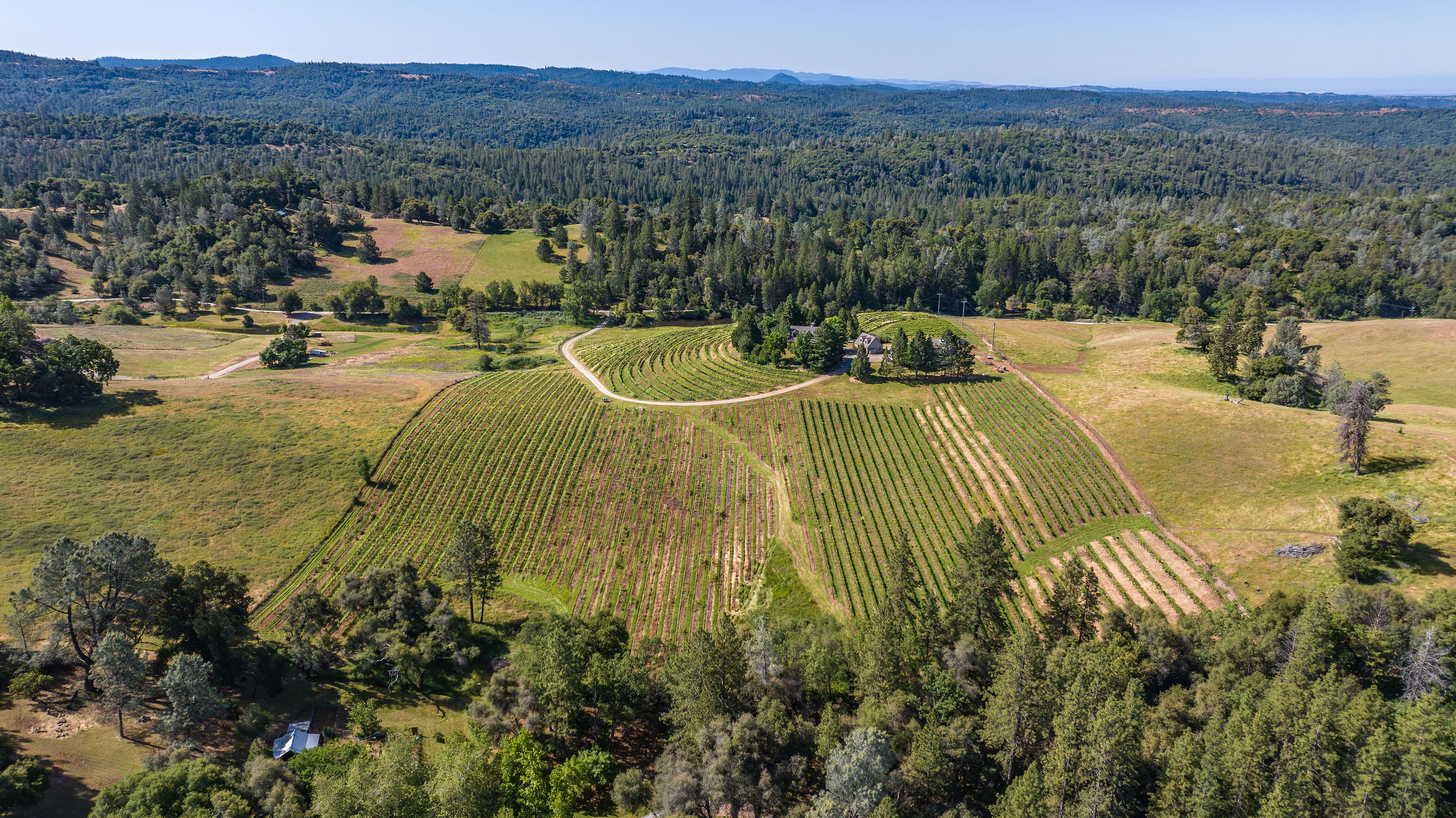  22 Acres • Panoramic Views • Unmatched Privacy • Idyllic Ranch Estate - 物件實景