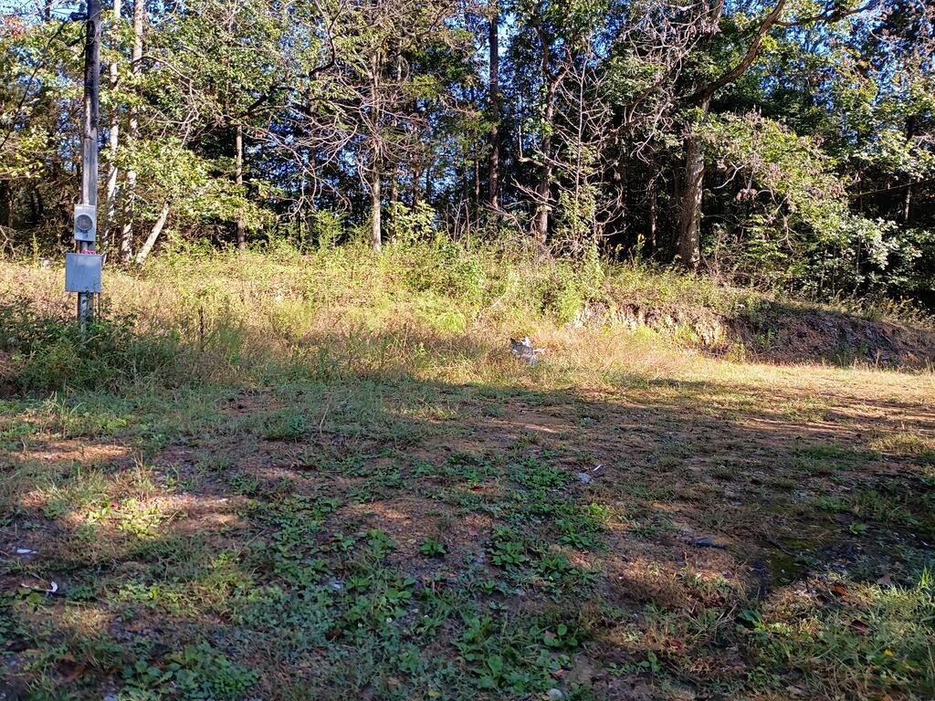 Maple Grove Church Rd, Chatsworth, GA 30705