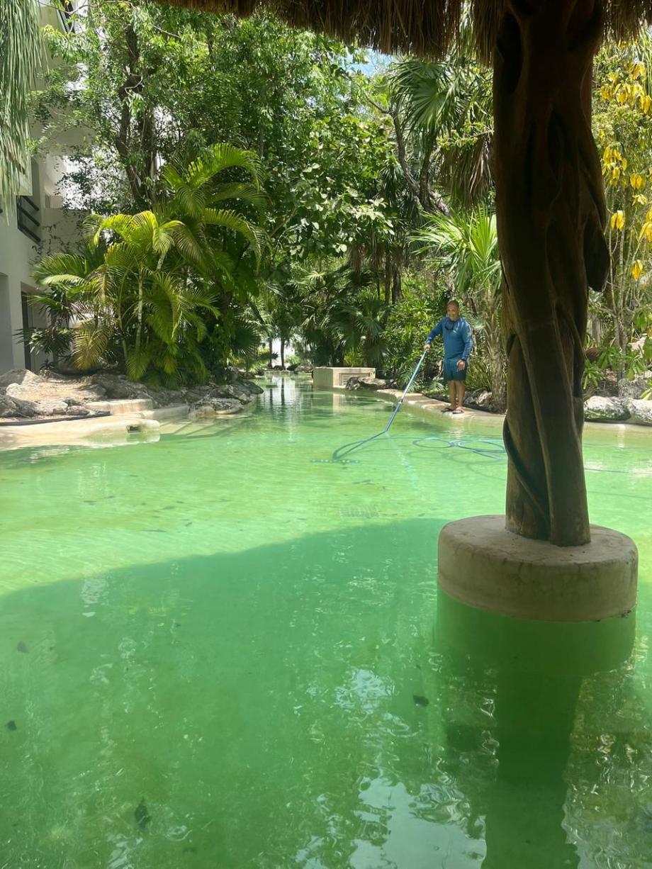 Benito Juárez, Quintana Roo, 77500, Mexico, 2 Bedrooms Bedrooms, ,2 BathroomsBathrooms,Residential,For Sale,1821590