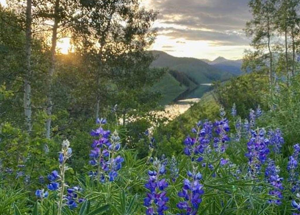 Crested Butte, Colorado, 81224, United States, 7 Bedrooms Bedrooms, ,10 BathroomsBathrooms,Residential,For Sale,1868441