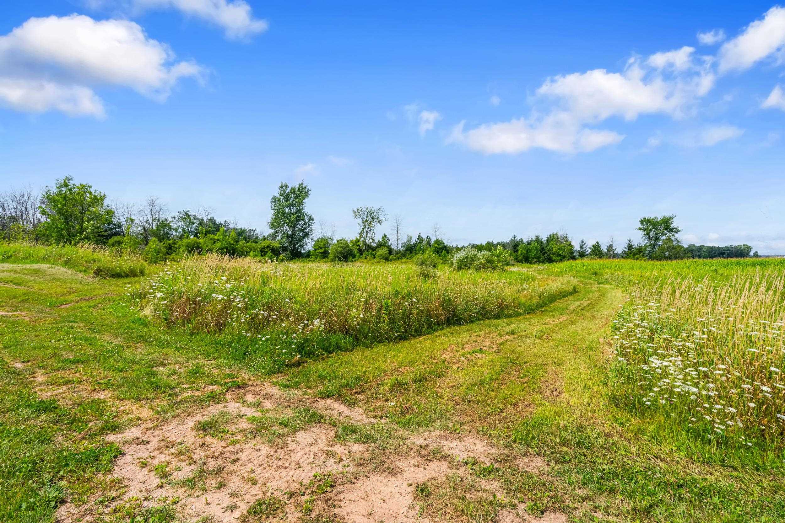 Black Creek, Wisconsin, 54106, United States, ,Residential,For Sale,1937063