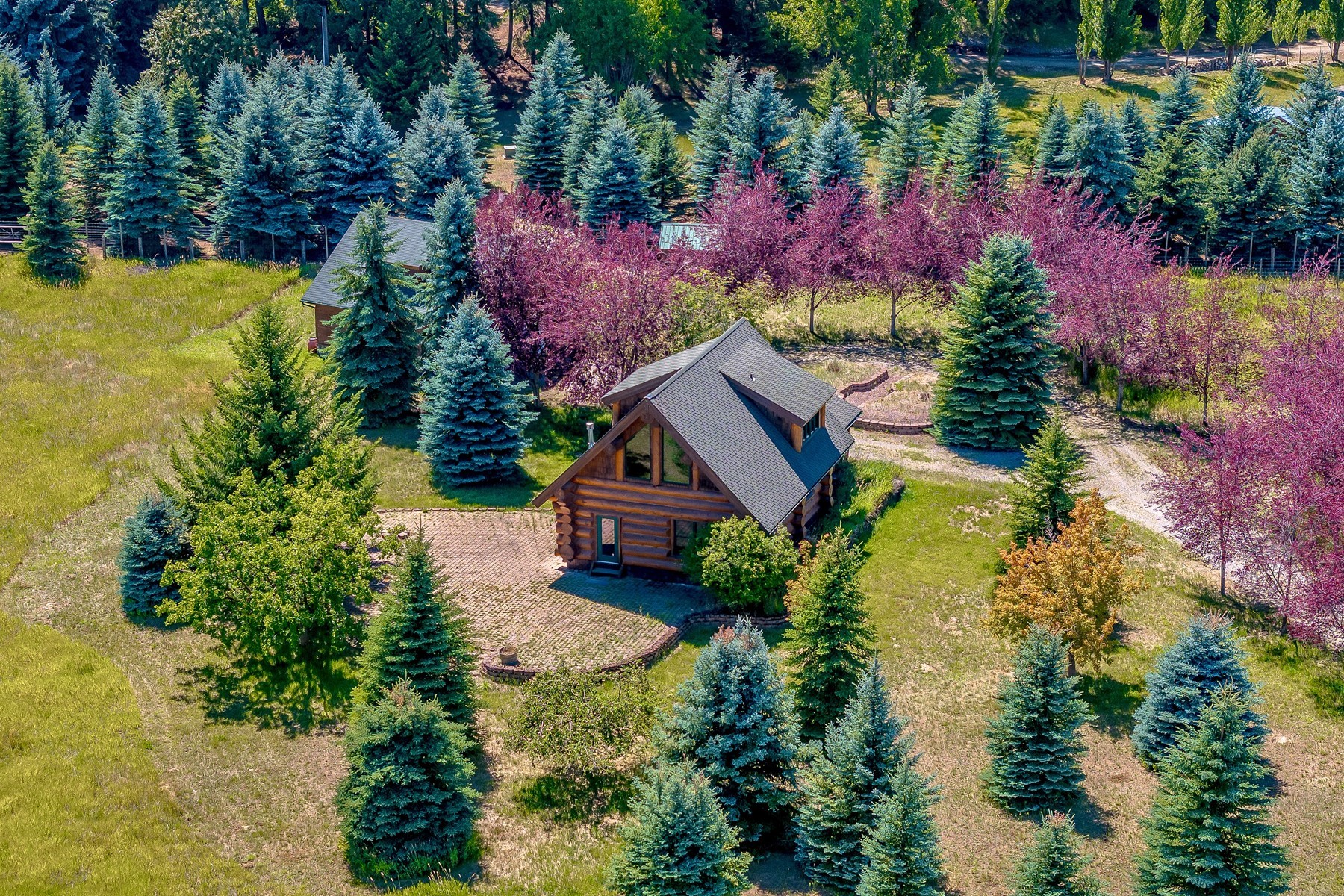  Artistic Log Home, Stunning Mountain Views - 物件實景