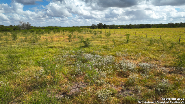 Nixon, Texas, 78140, United States, ,Residential,For Sale,1988320