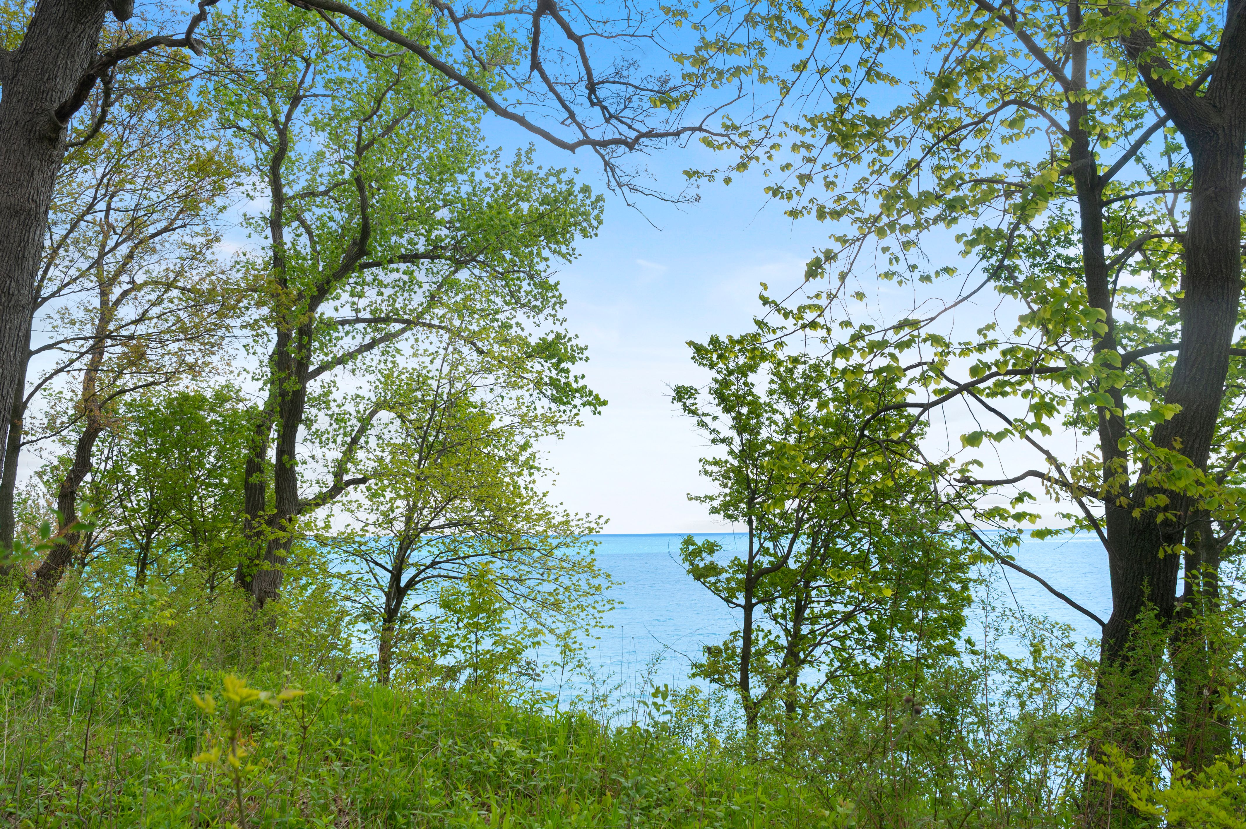  Historic Queen Anne Mansion Overlooking Lake Michigan - 物件實景