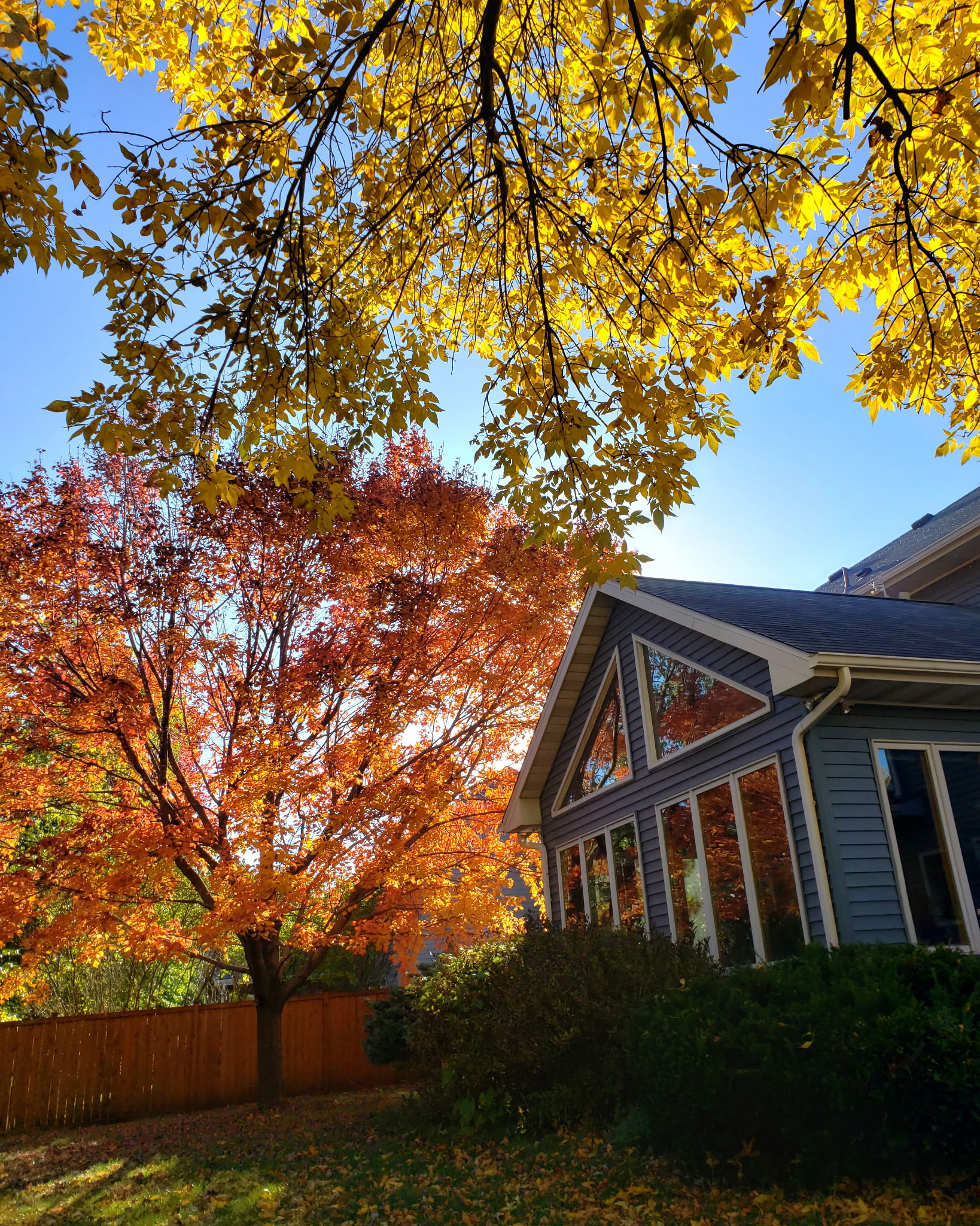  Spacious Village Knolls Home on Private Fenced Lot - 物件實景