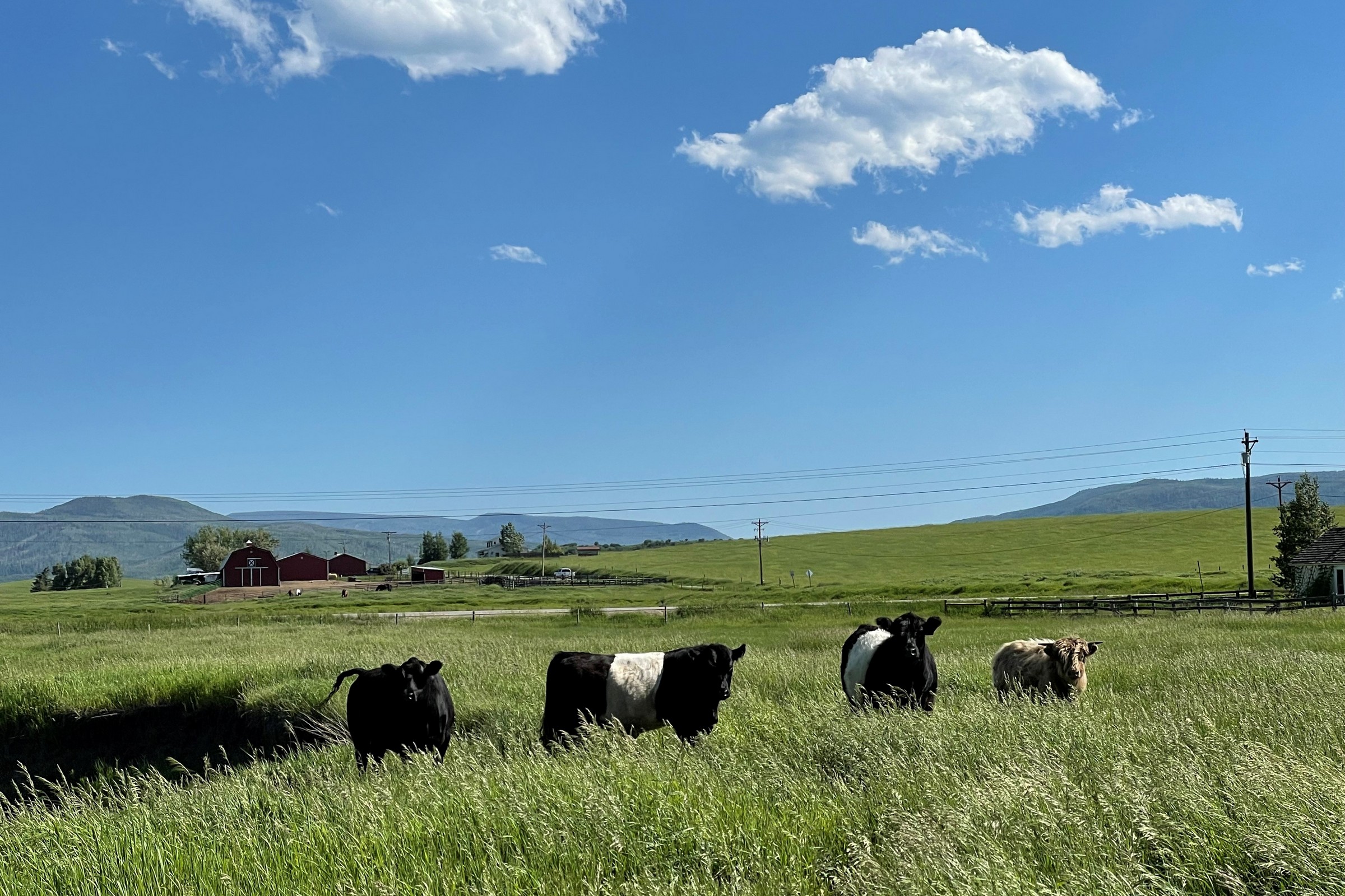  33250 County Road 14, Steamboat Springs, CO 80487 - 物件實景