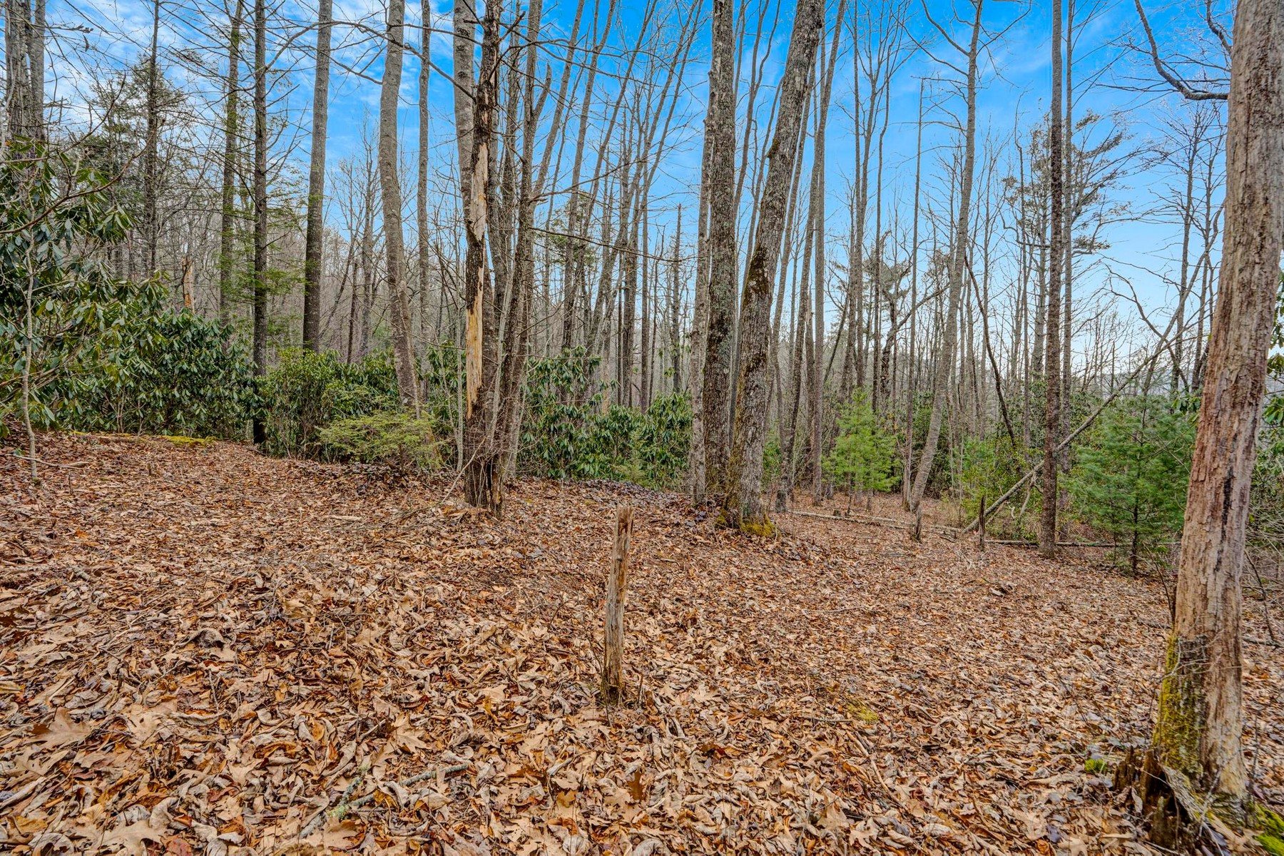  Lot 21 Hardscrabble Ridge Road - 物件實景