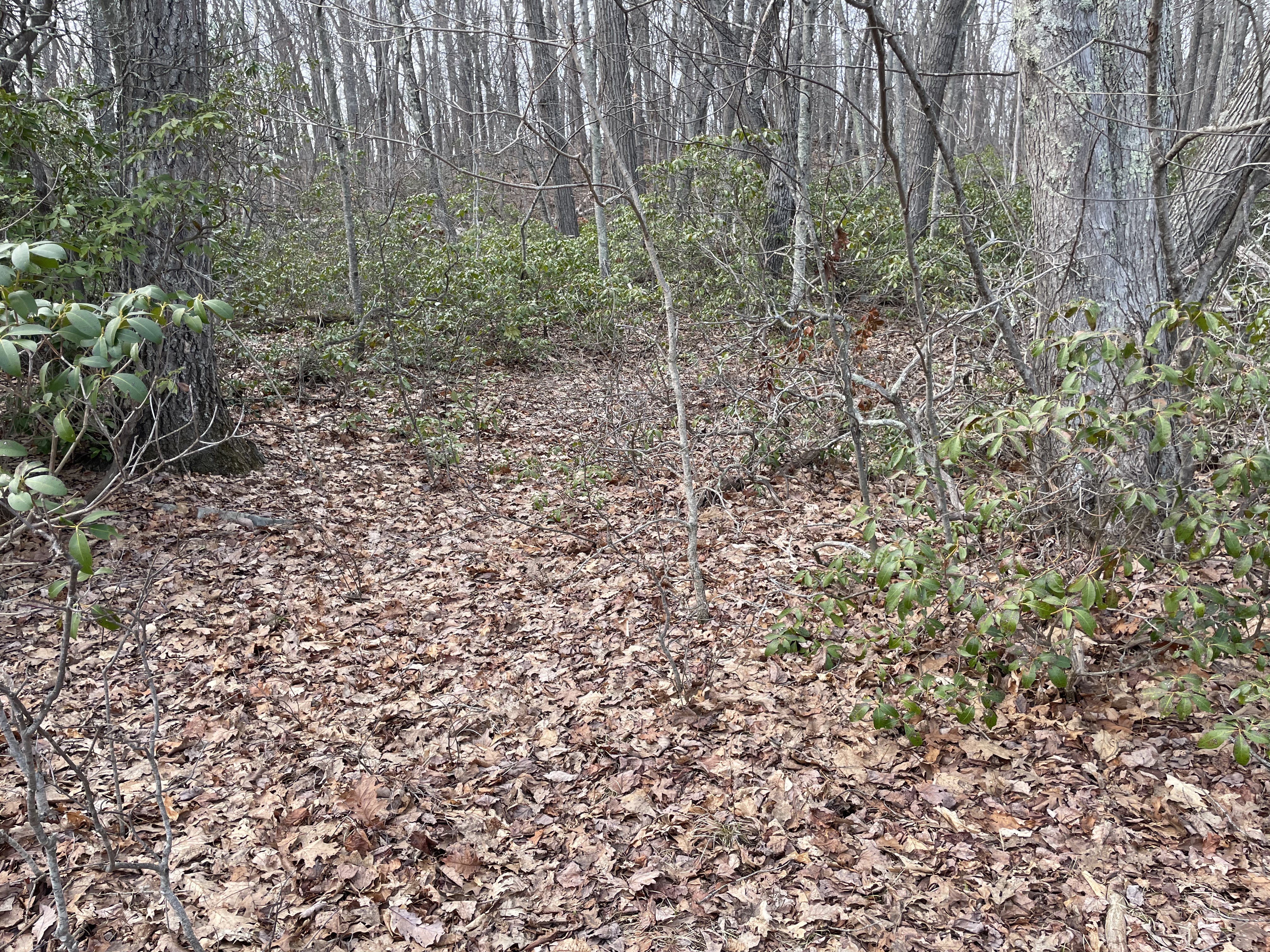  197 Tinker Hill Road - 物件實景