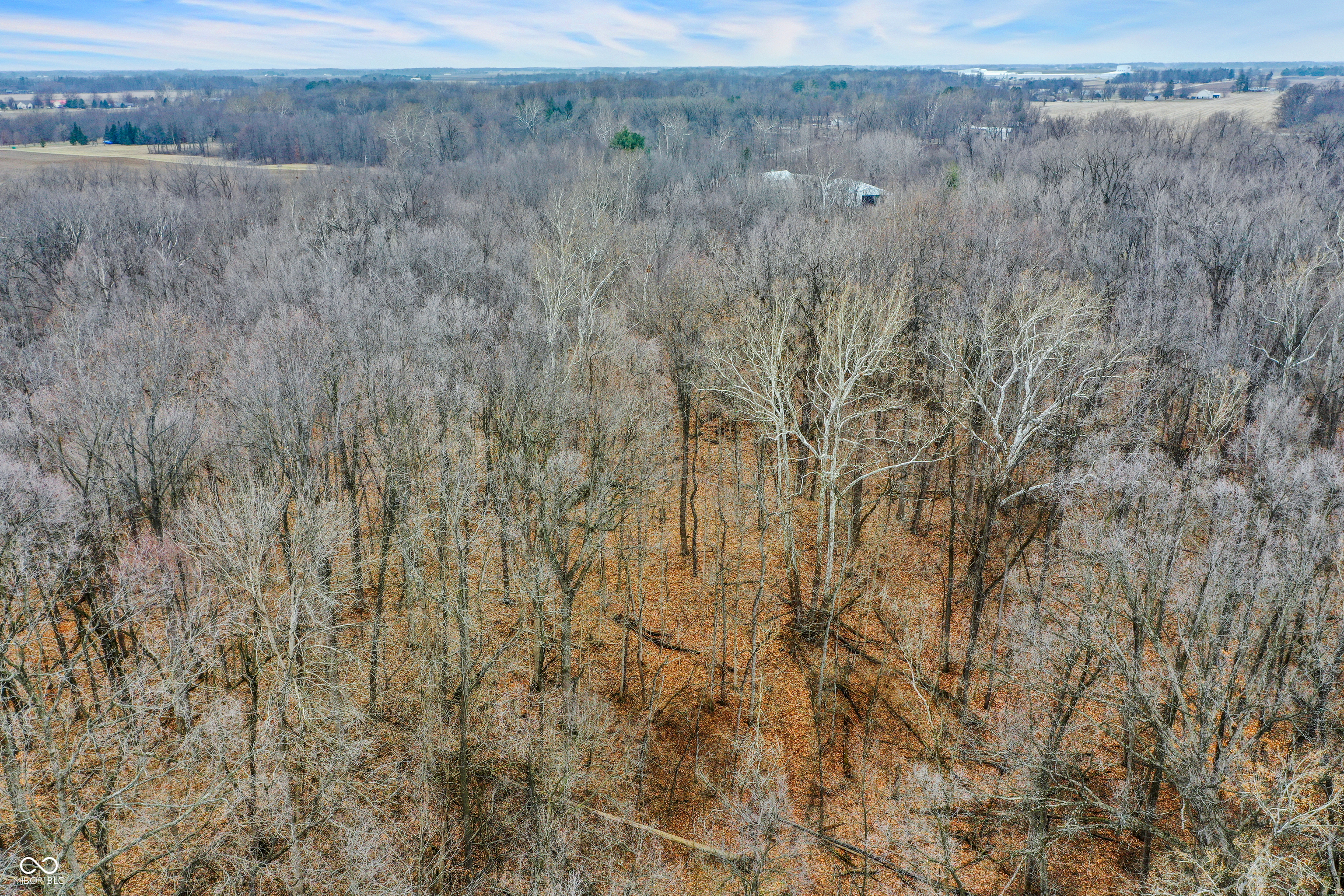 Arcadia, Indiana, 46030, United States, ,Residential,For Sale,2009642