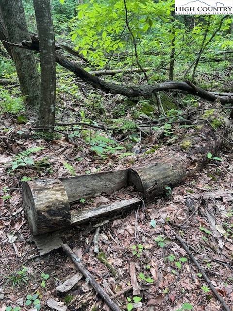 Purlear, North Carolina, 28665, United States, ,Land,For Sale,1990813