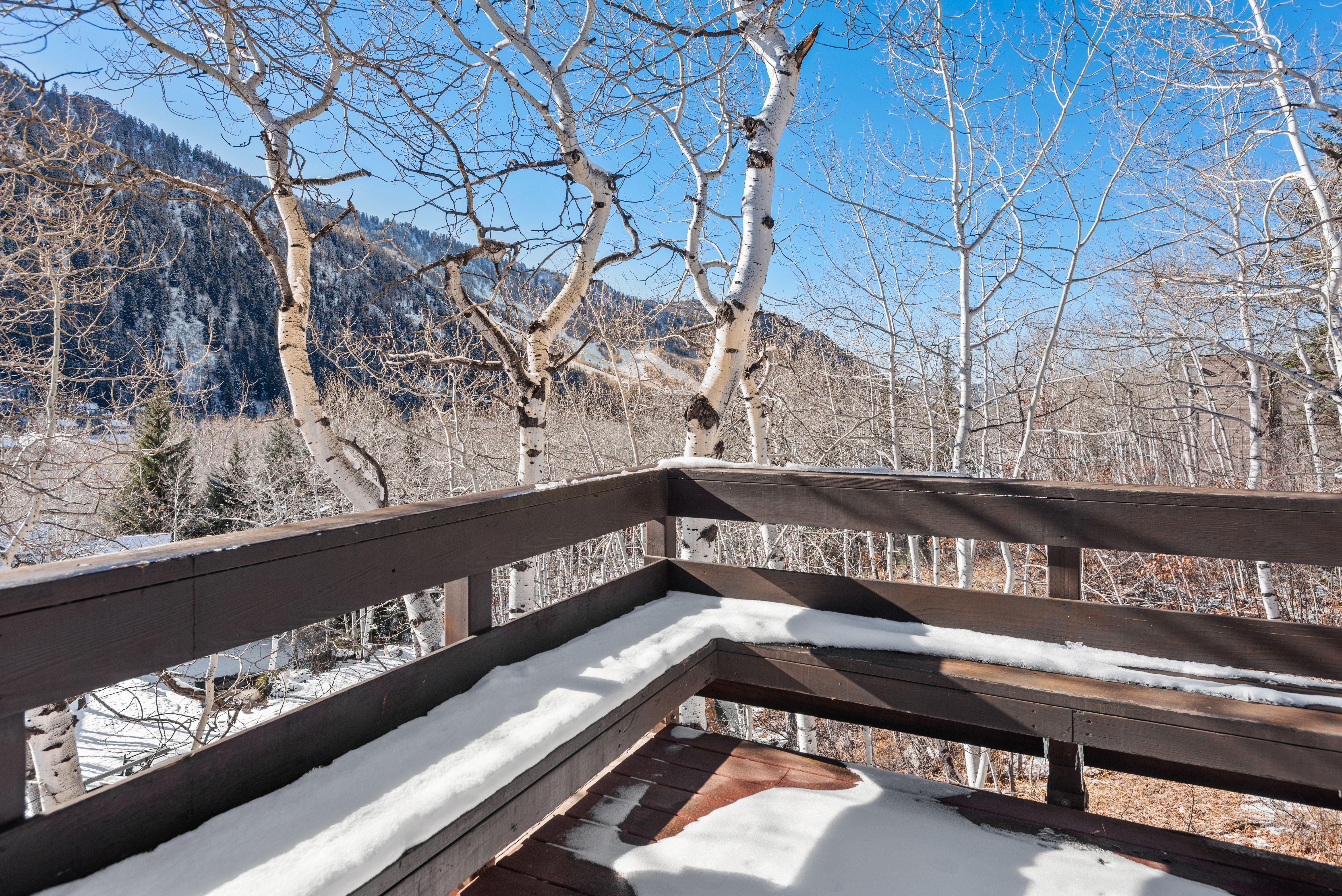  246 Roaring Fork Drive, Aspen, CO, 81611 - 物件實景