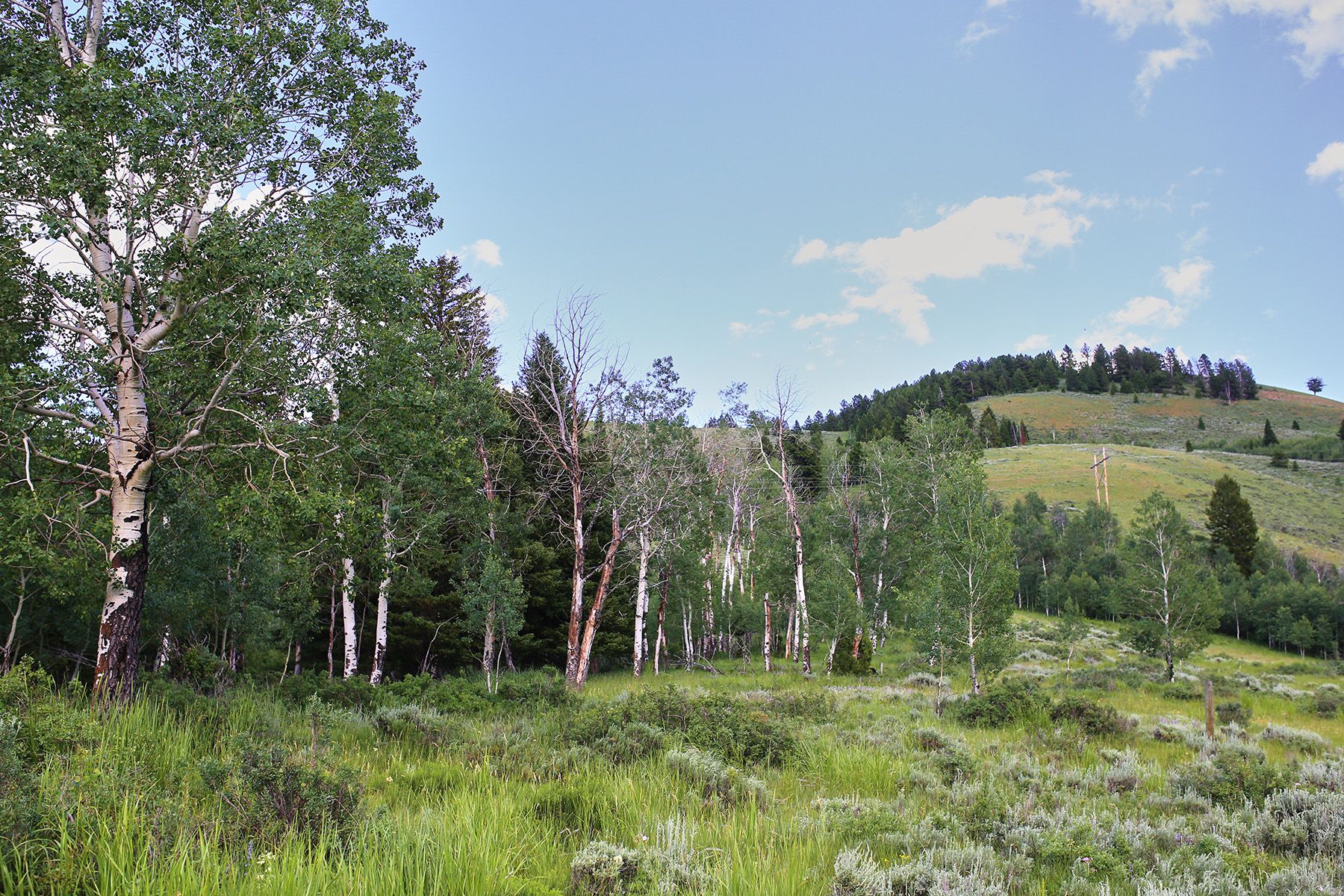  Snake River Sporting Club Lot - 物件實景