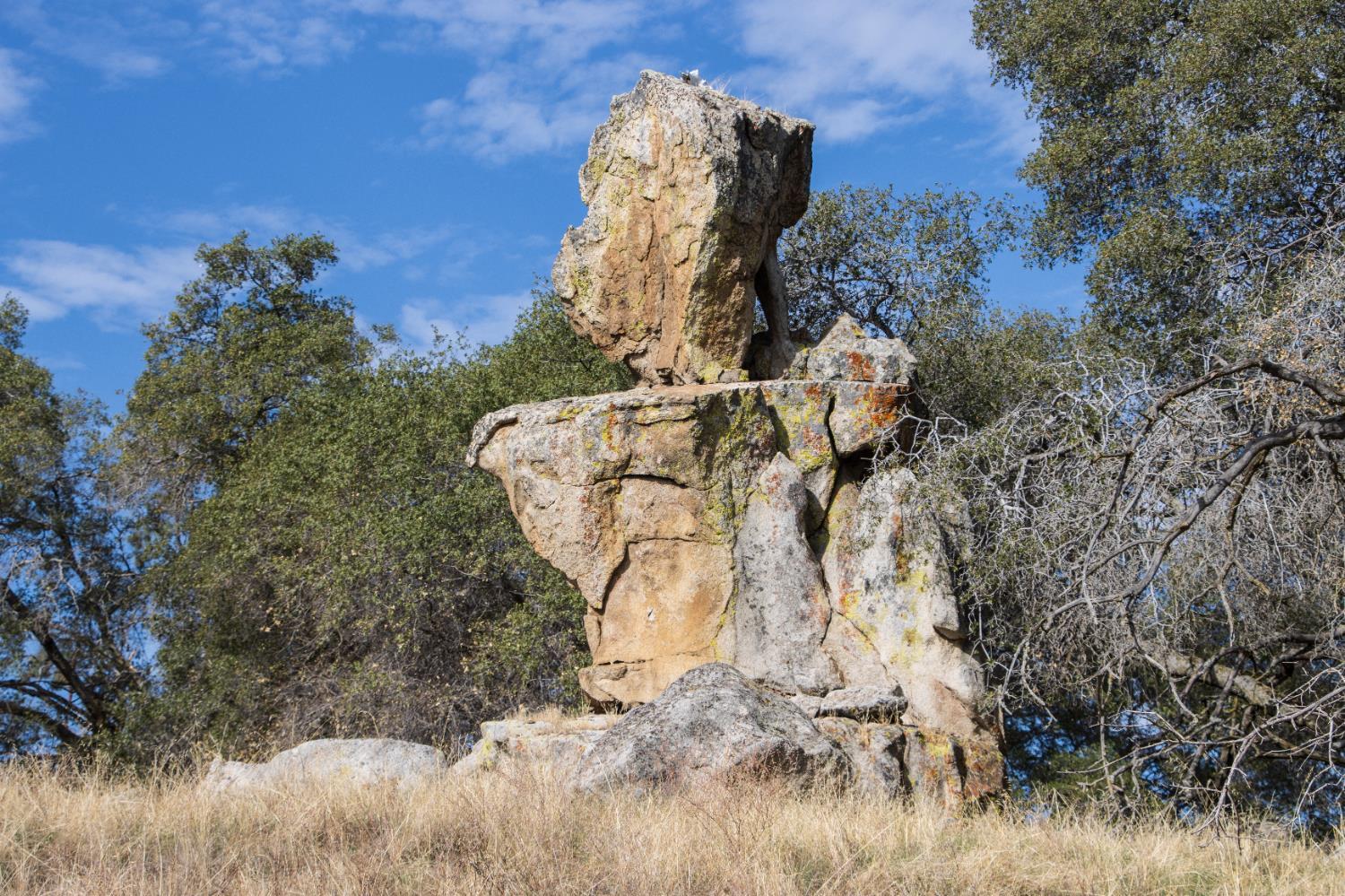 Coarsegold, California, 93614, United States, ,Residential,For Sale,2006211