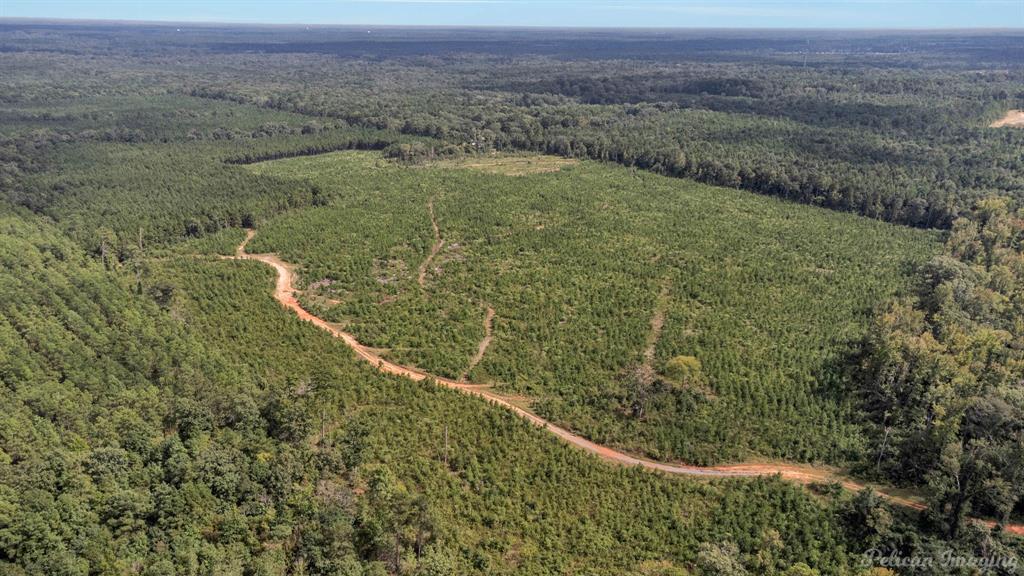 0 Highway 157 Highway, Haughton, Louisiana, 71037, United States, ,Land,For Sale,0 Highway 157 Highway,1646378