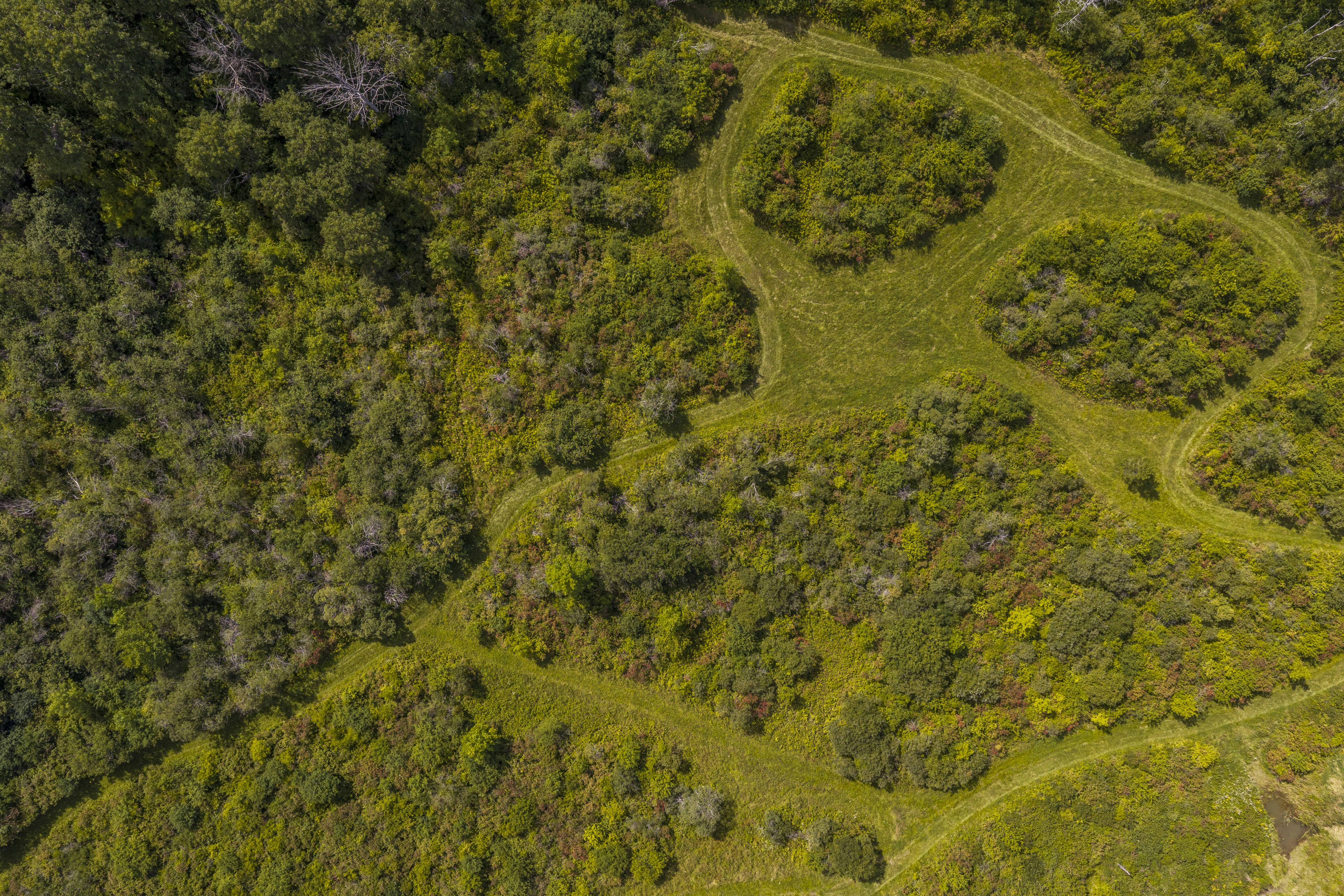  351 Warners Lake Road, East Berne, NY 12059 - 物件實景