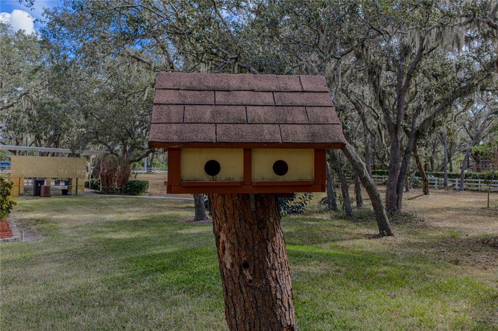 Riverview, Florida, 33569, United States, 4 Bedrooms Bedrooms, ,3 BathroomsBathrooms,Residential,For Sale,1991994