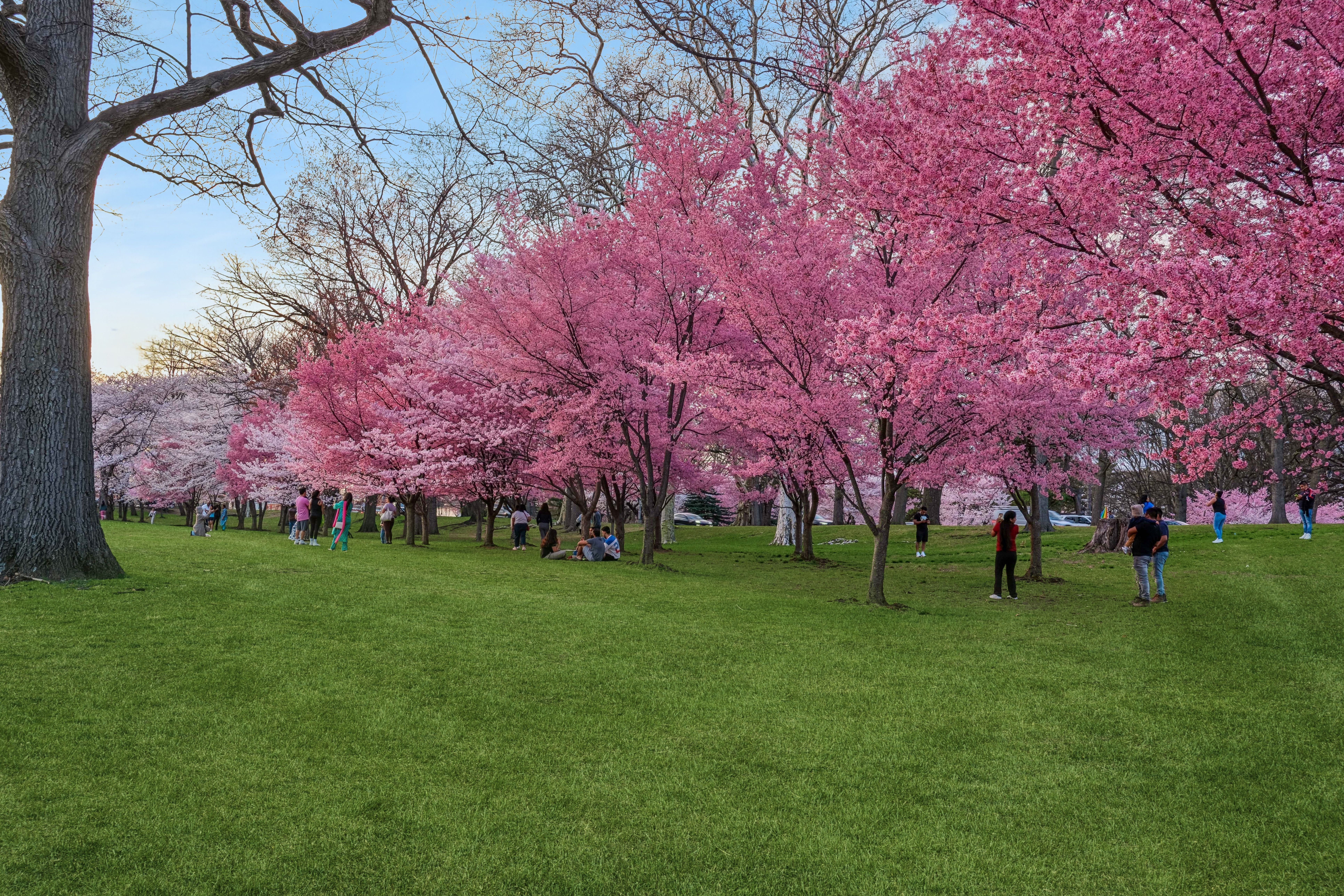  363-377 Mount Prospect Avenue, Newark, NJ 07104 - 物件實景