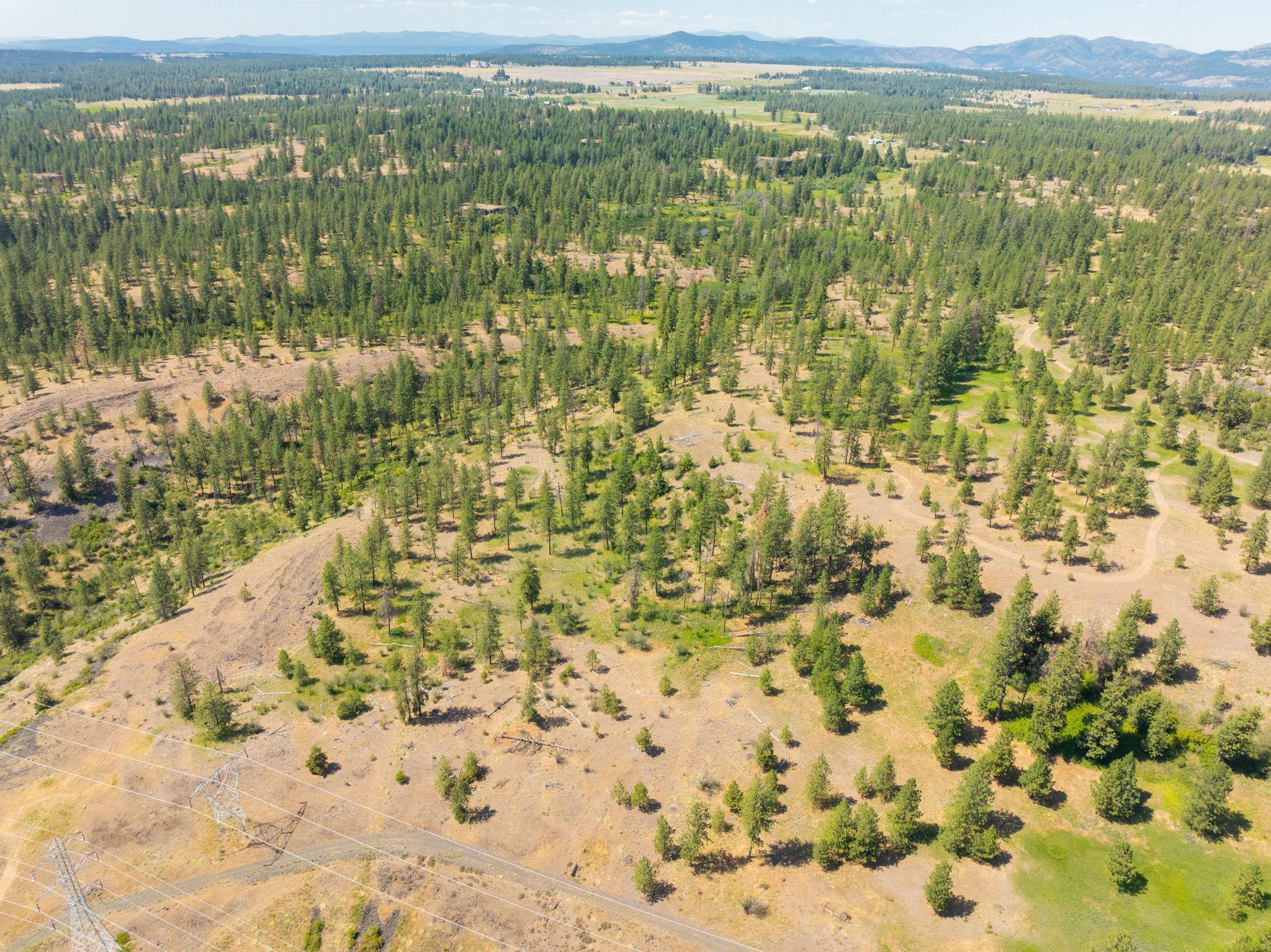 Nine Mile Falls, Washington, 99026, United States, ,Land,For Sale,1960887