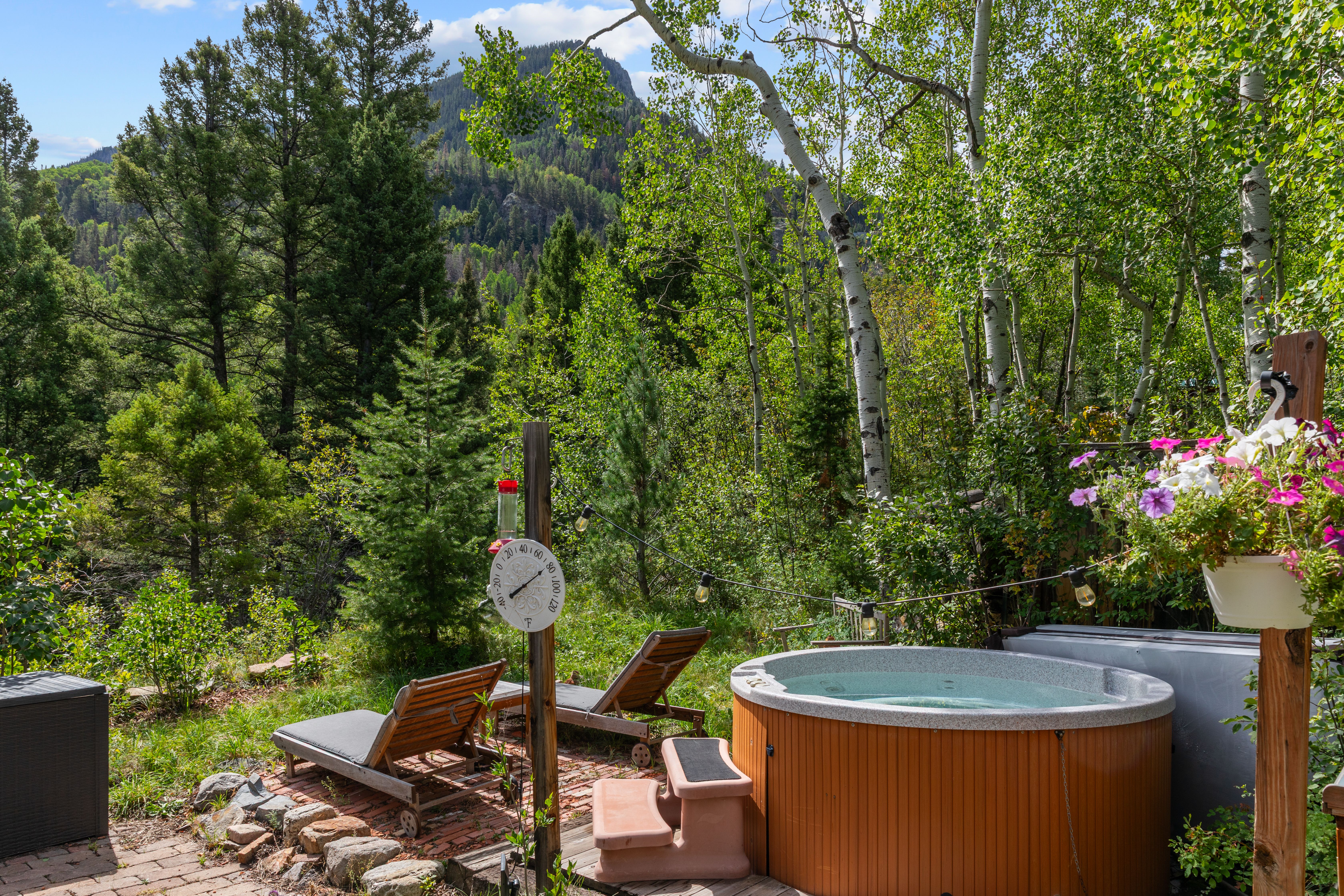  Peaceful Neighborhood in Ames, Colorado, minutes to Telluride - 物件實景