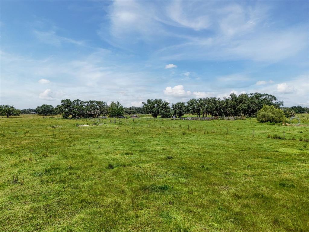 Myakka City, Florida, 34251, United States, ,Land,For Sale,1908306