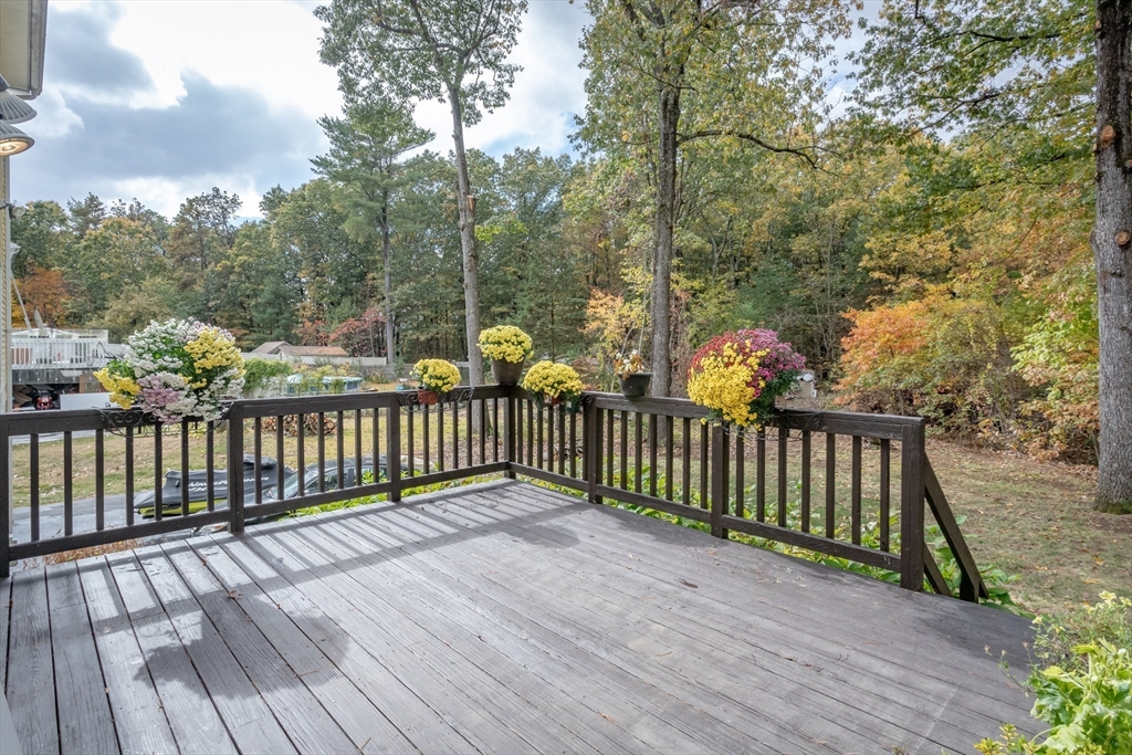 Westfield, Massachusetts, 01085, United States, 4 Bedrooms Bedrooms, ,2 BathroomsBathrooms,Residential,For Sale,1967509