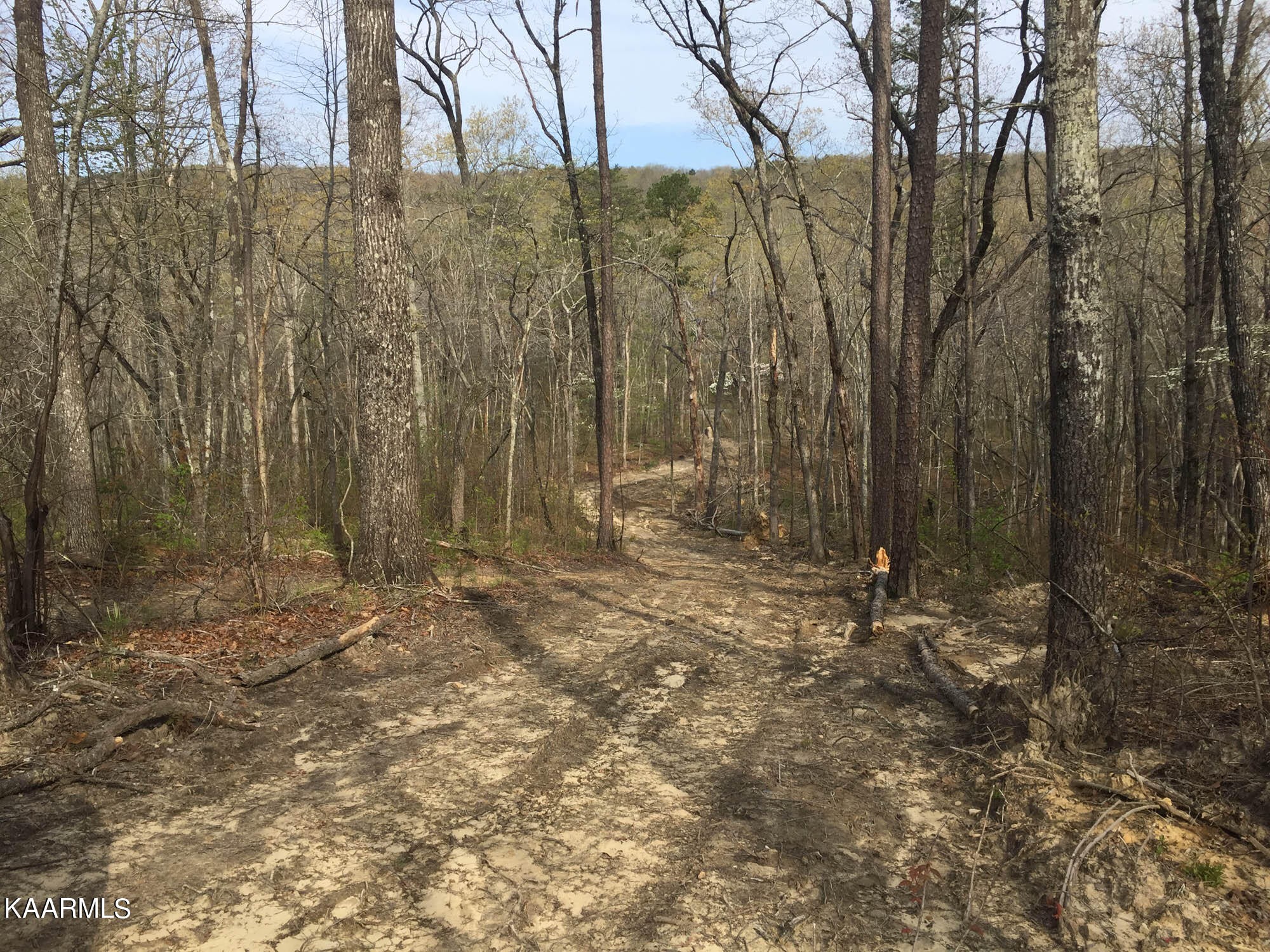 Pikeville, Tennessee, 37367, United States, ,Residential,For Sale,1943070