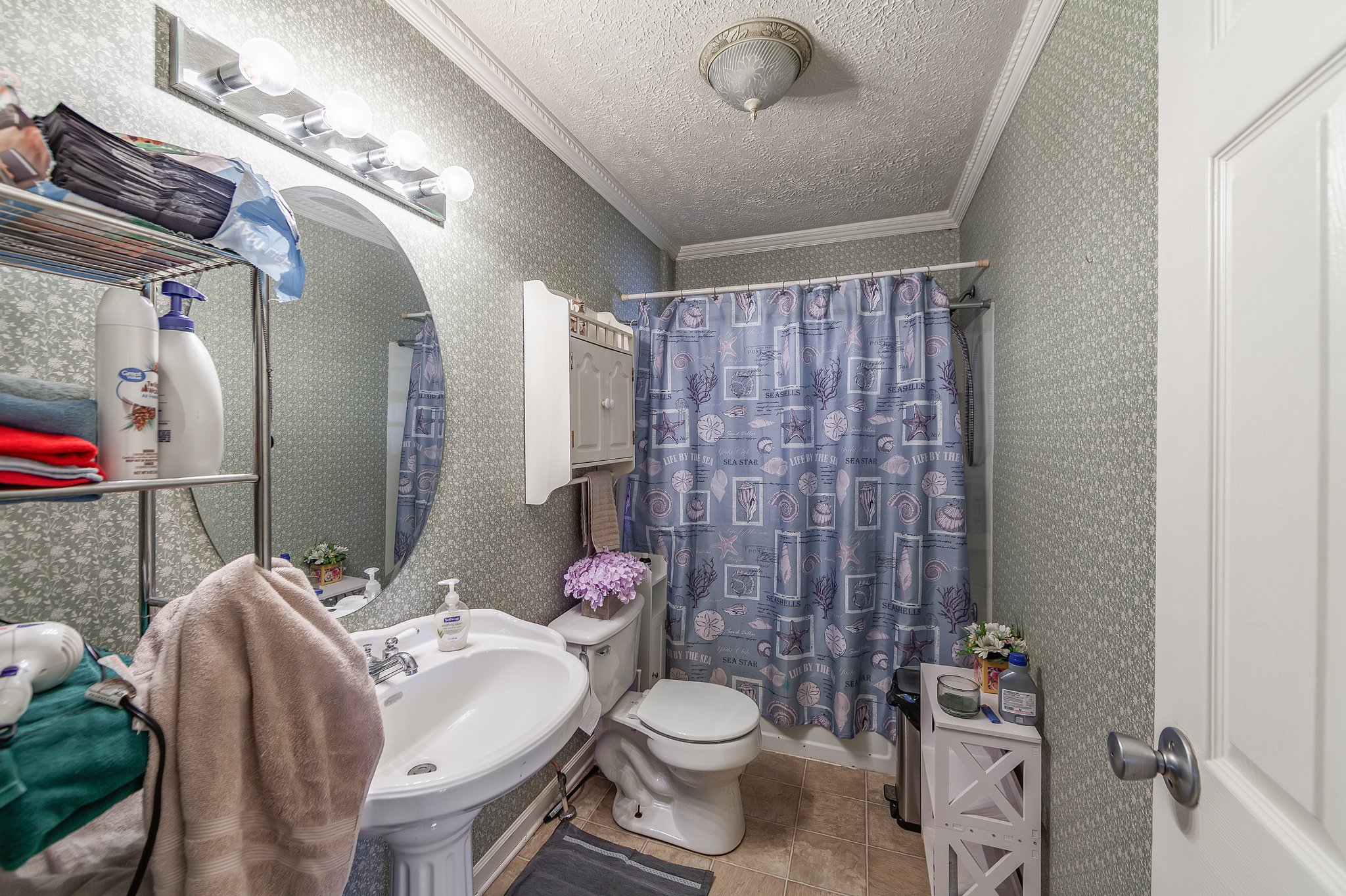 Beech Bluff, Tennessee, 38313, United States, 5 Bedrooms Bedrooms, ,3 BathroomsBathrooms,Residential,For Sale,1743753