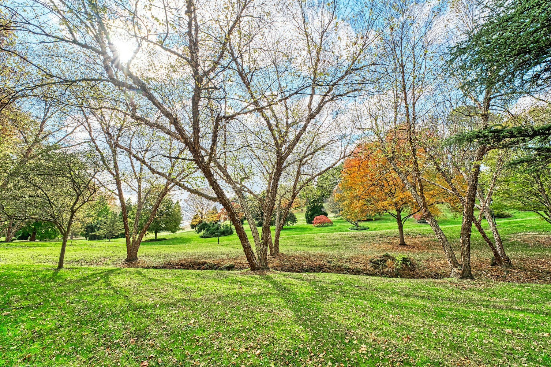  13223 Loyalty Road, Leesburg, VA 20176 - 物件實景