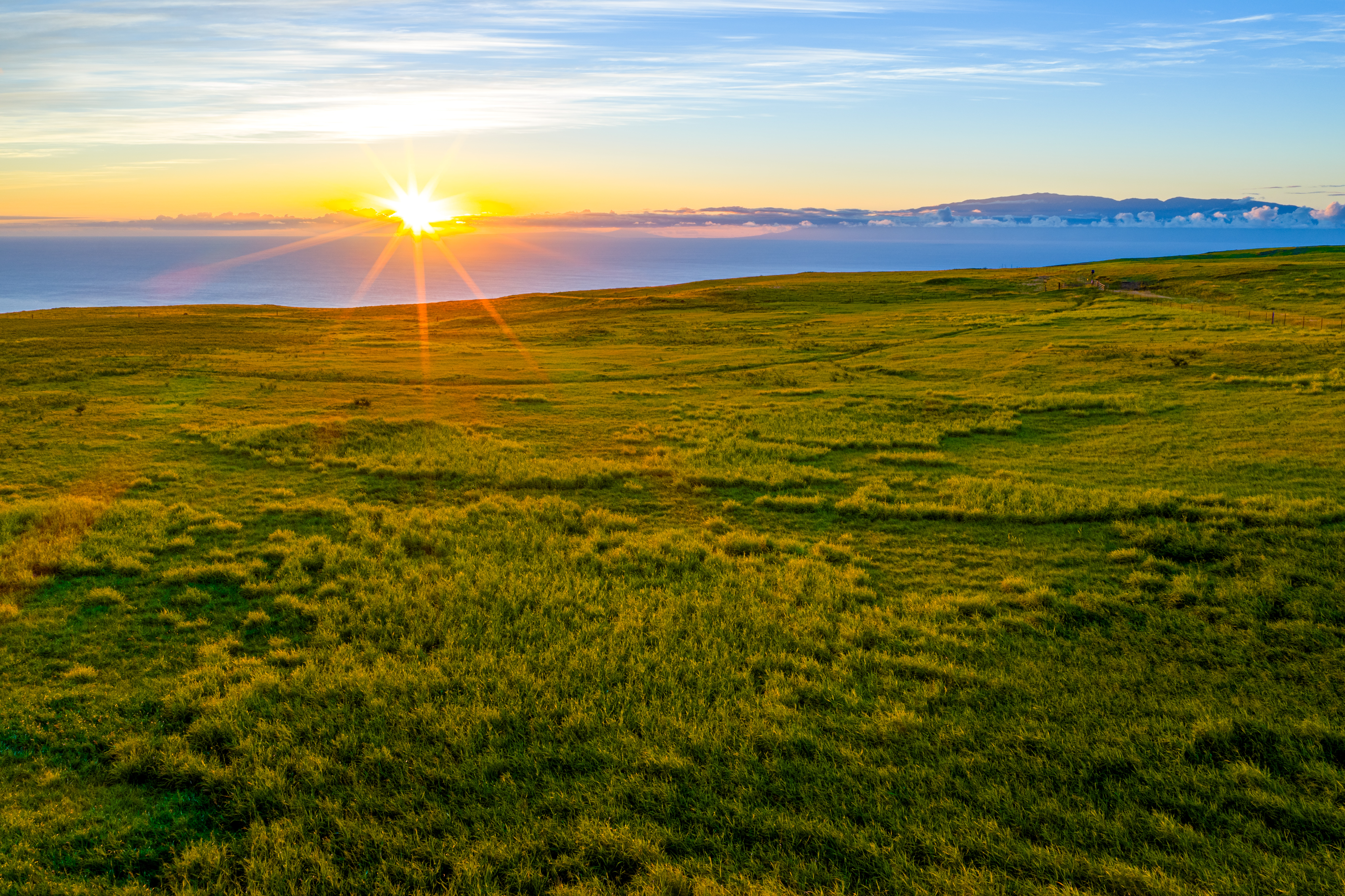  695 Ualani Pl, Kamuela, HI, 96743 - 物件實景