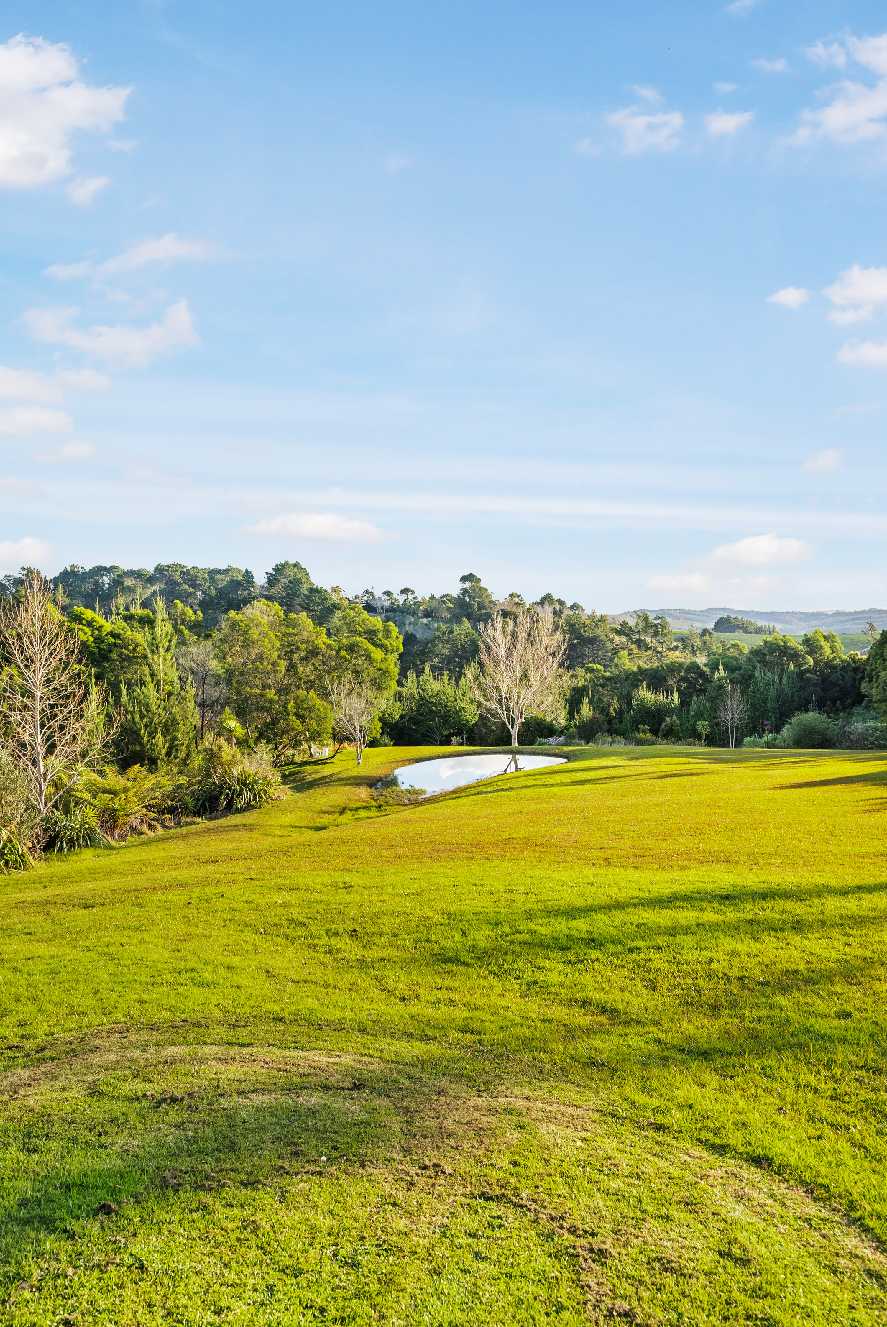  136b Glenmore Road, Coatesville, Rodney, New Zealand - 物件實景