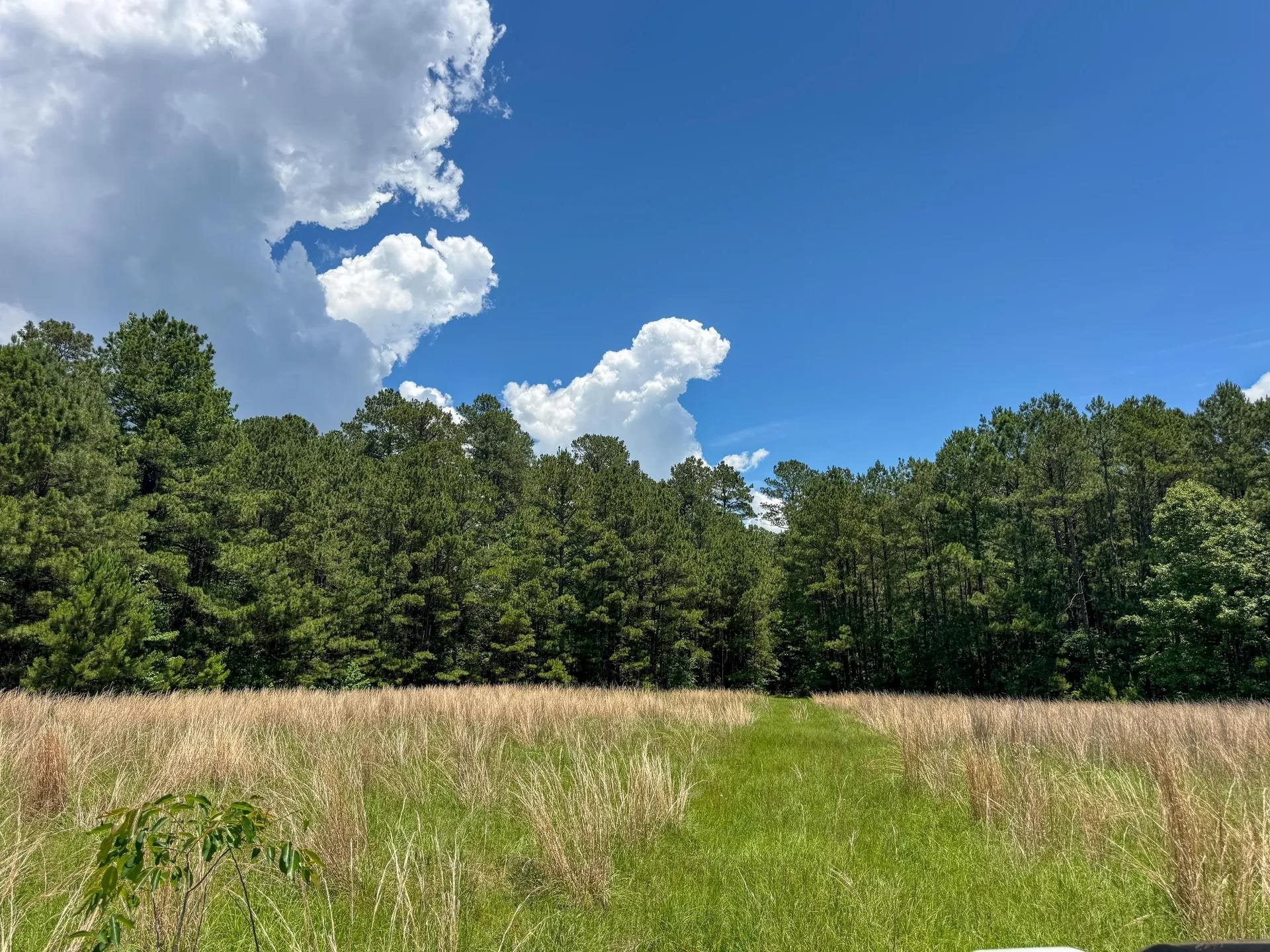 Douglassville, Texas, 75560, United States, ,Land,For Sale,2048006